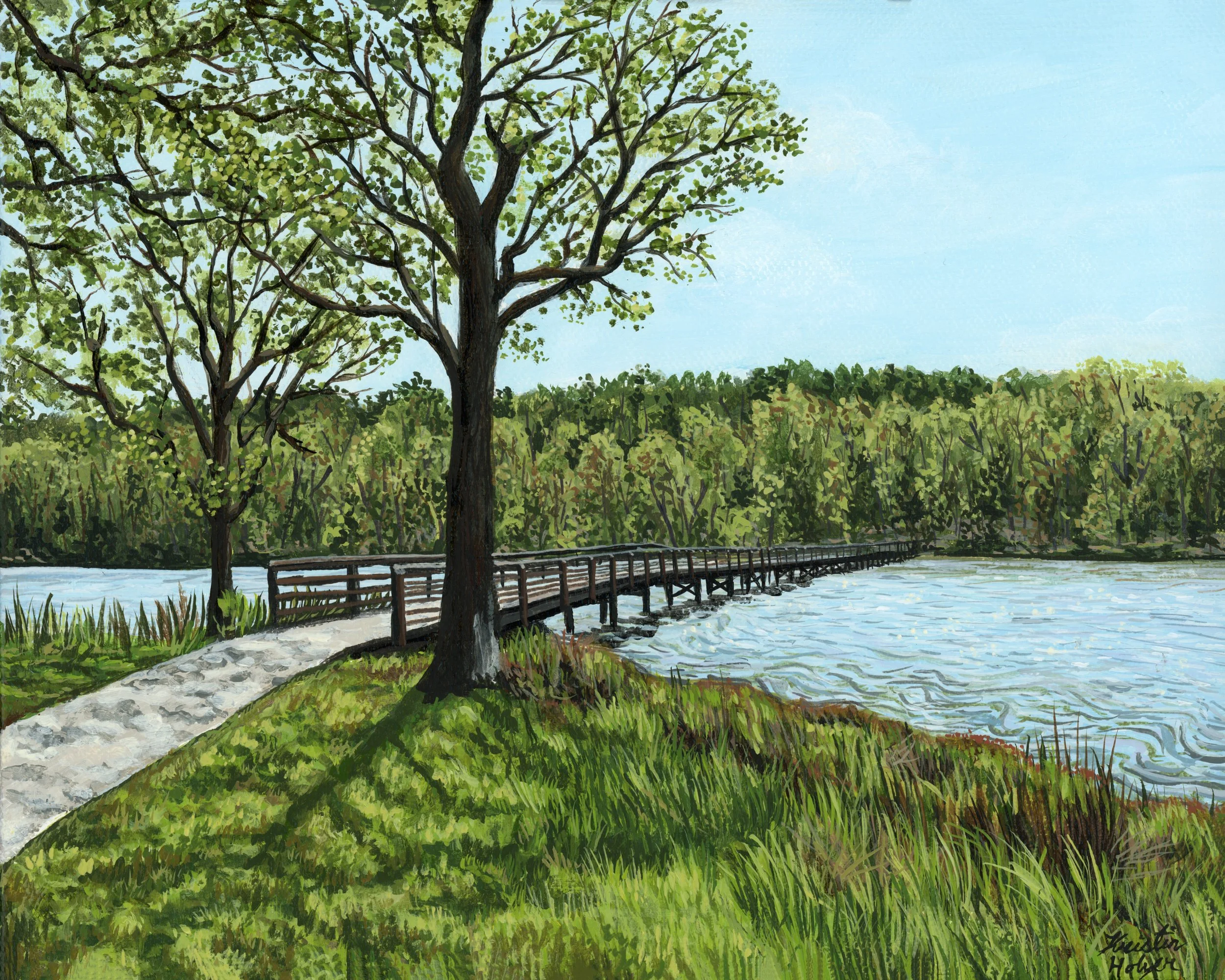 Chester State Park Prints