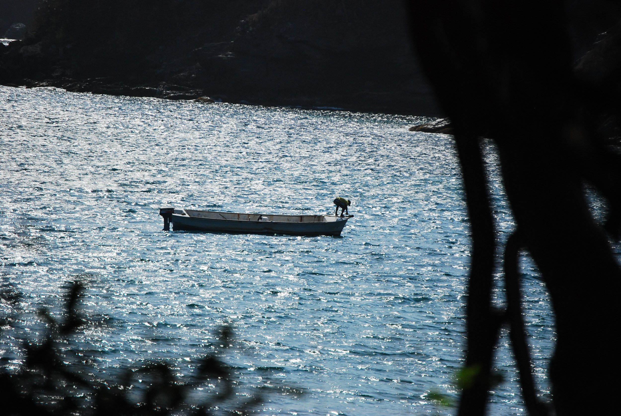 DSC_0141.JPG