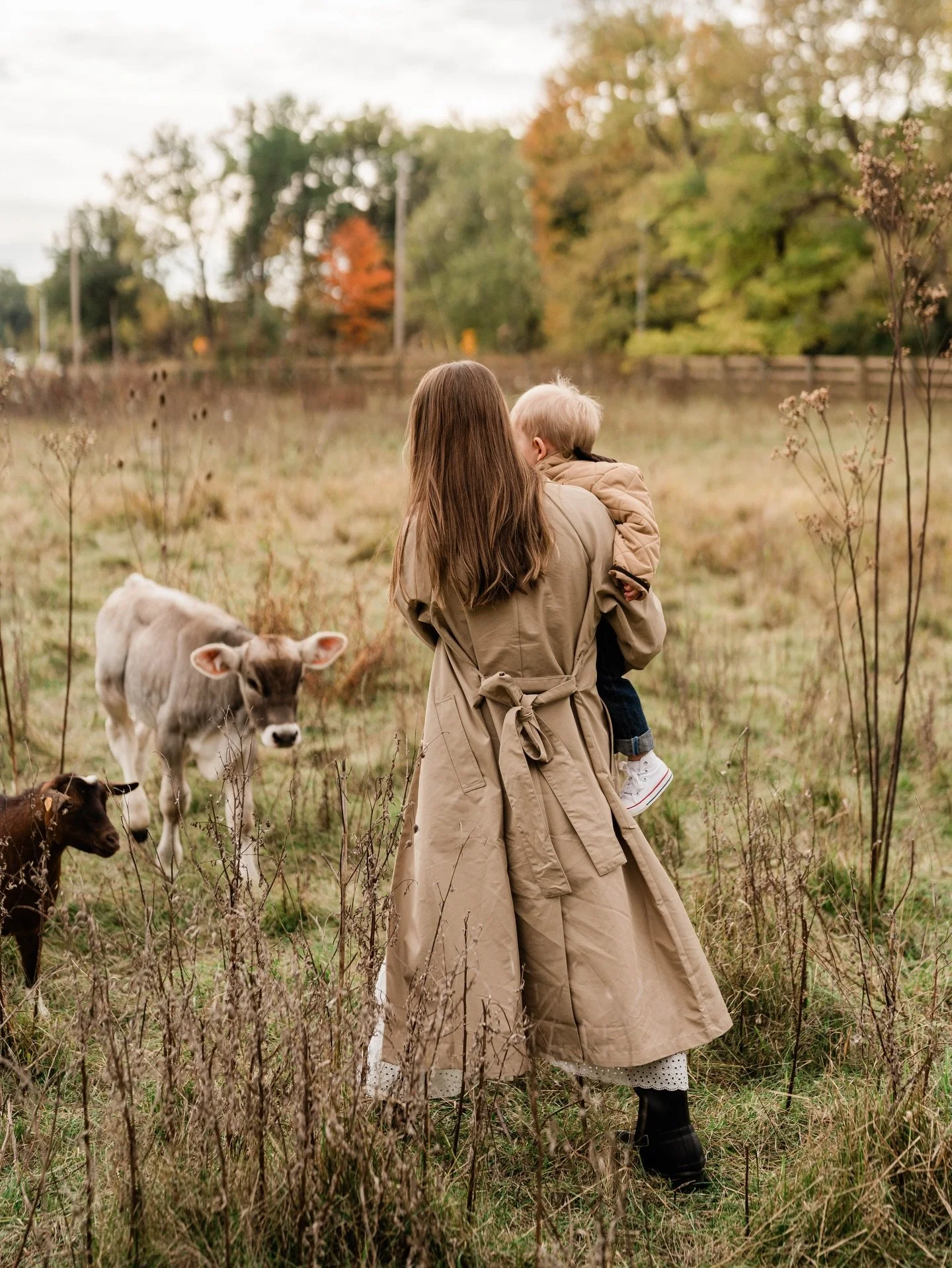 Today we&rsquo;re resetting our home, hanging some art, finishing a project one year in the works, stocking up on our weekly healthy grocery haul, and jotting down some intentions for 2026.

My biggest goal is to lean into my creative self outside of