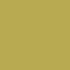 Dill Green - RAL 100-70-50