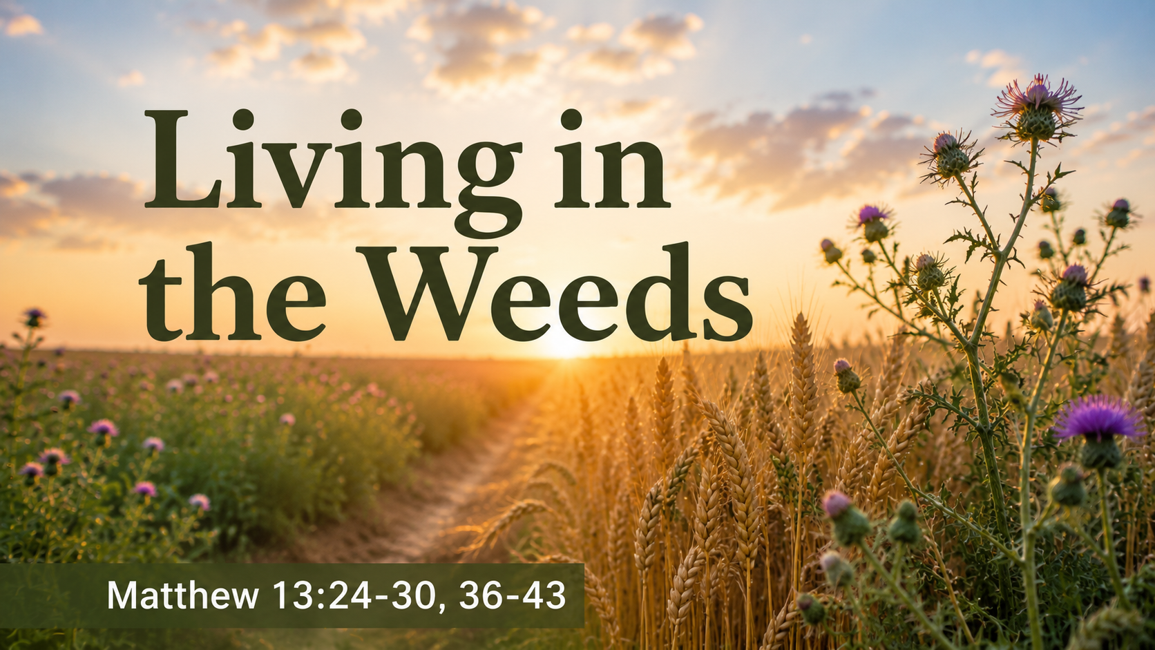 Living in the Weeds