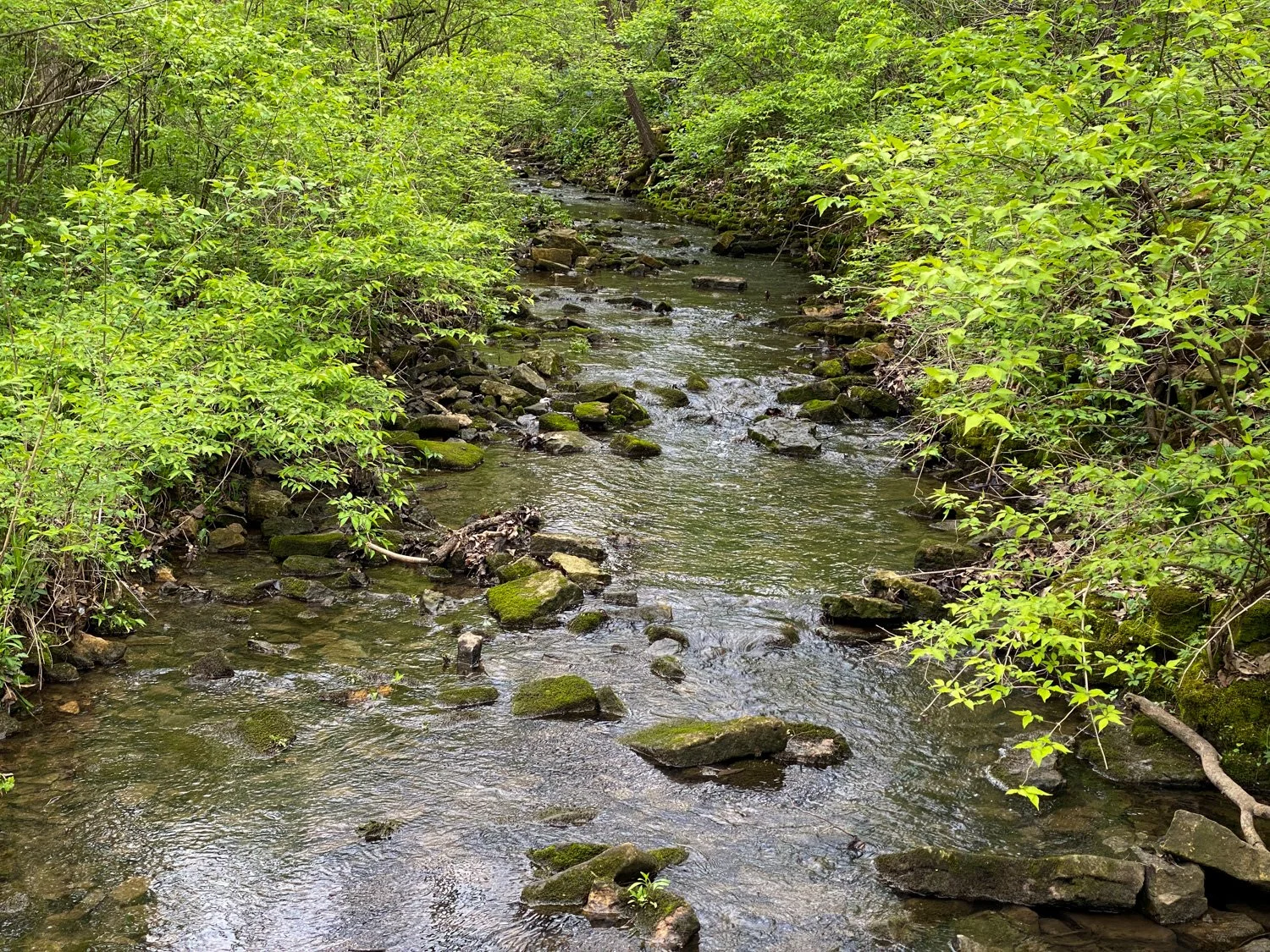 Kankakee River State Park, Illinois
