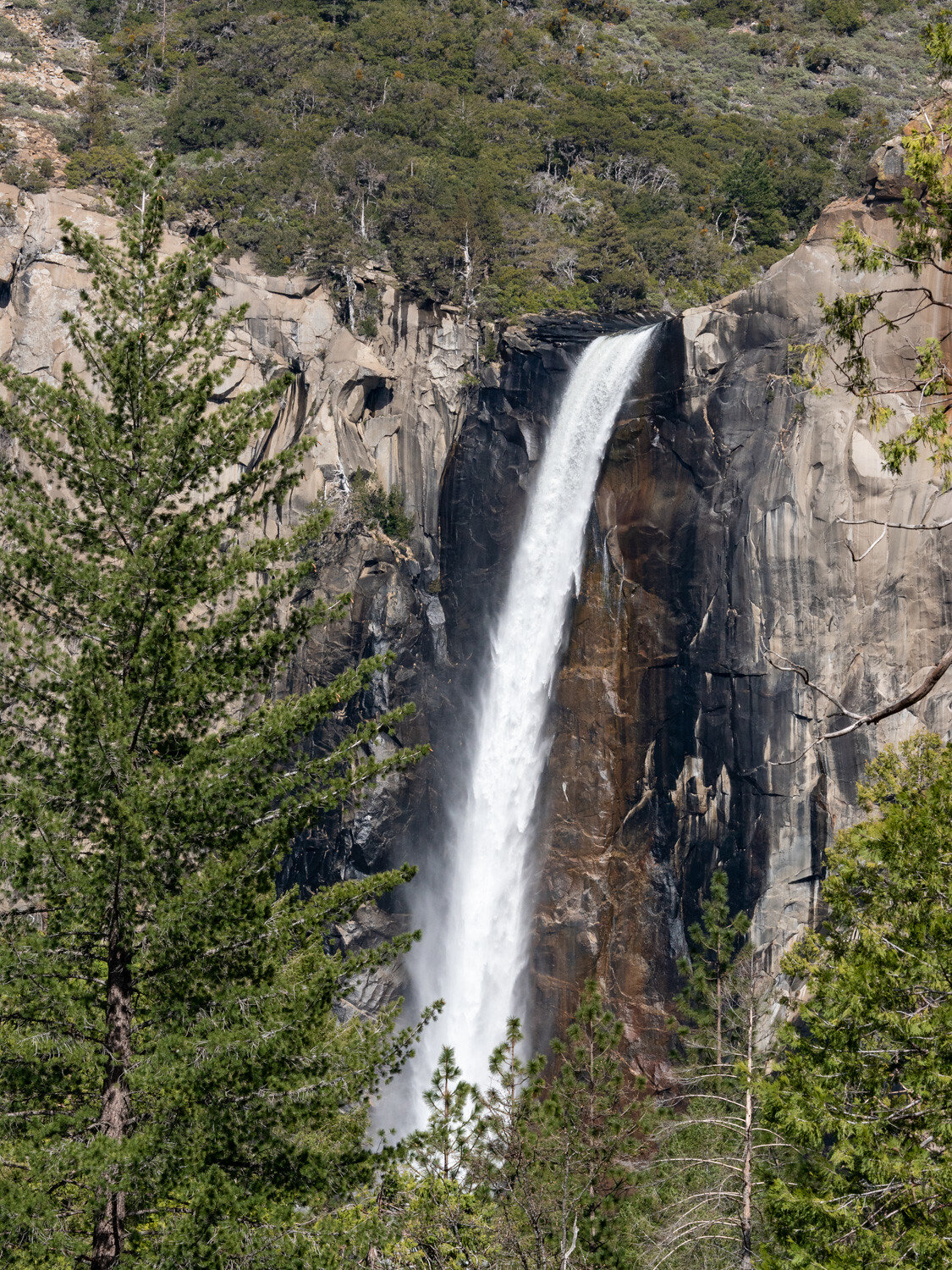Yosemite (22 of 26)