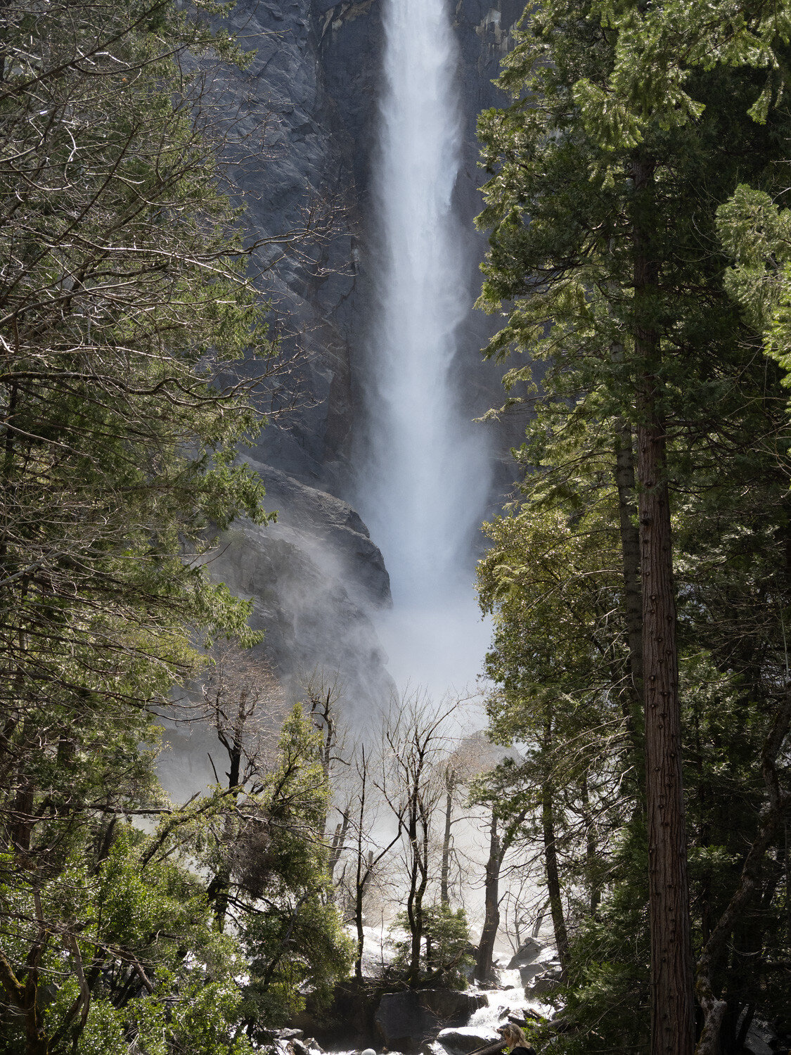 Yosemite (16 of 26)