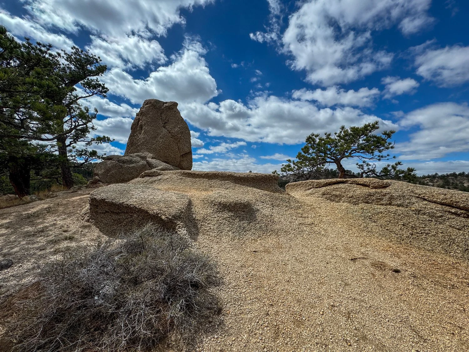 Curt Gowdy SP (52 of 59)