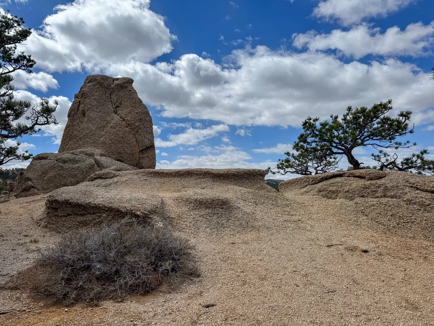 Curt Gowdy SP (53 of 59)