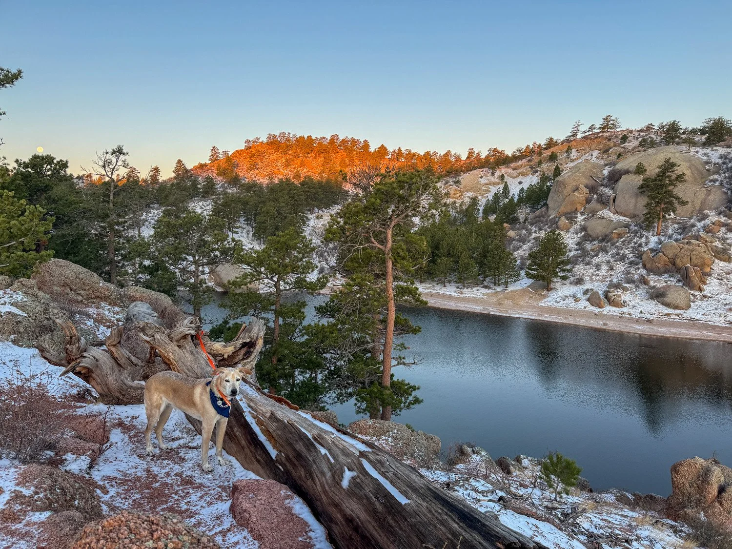 Curt Gowdy SP (48 of 59)