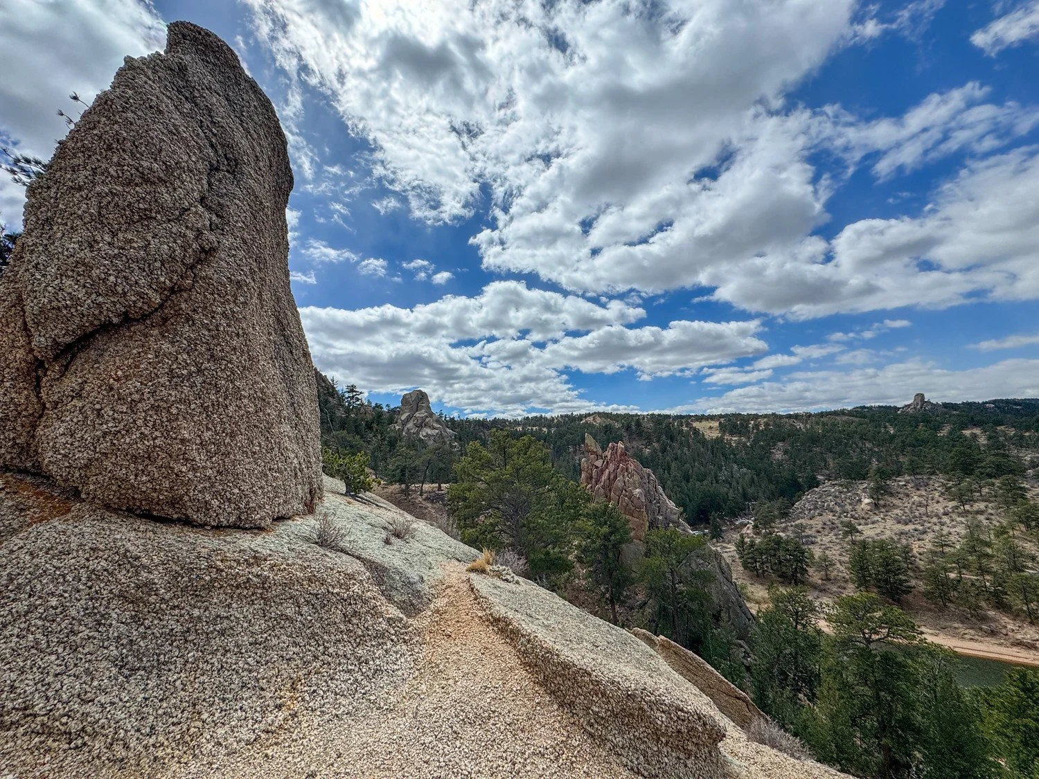 Curt Gowdy SP (51 of 59)