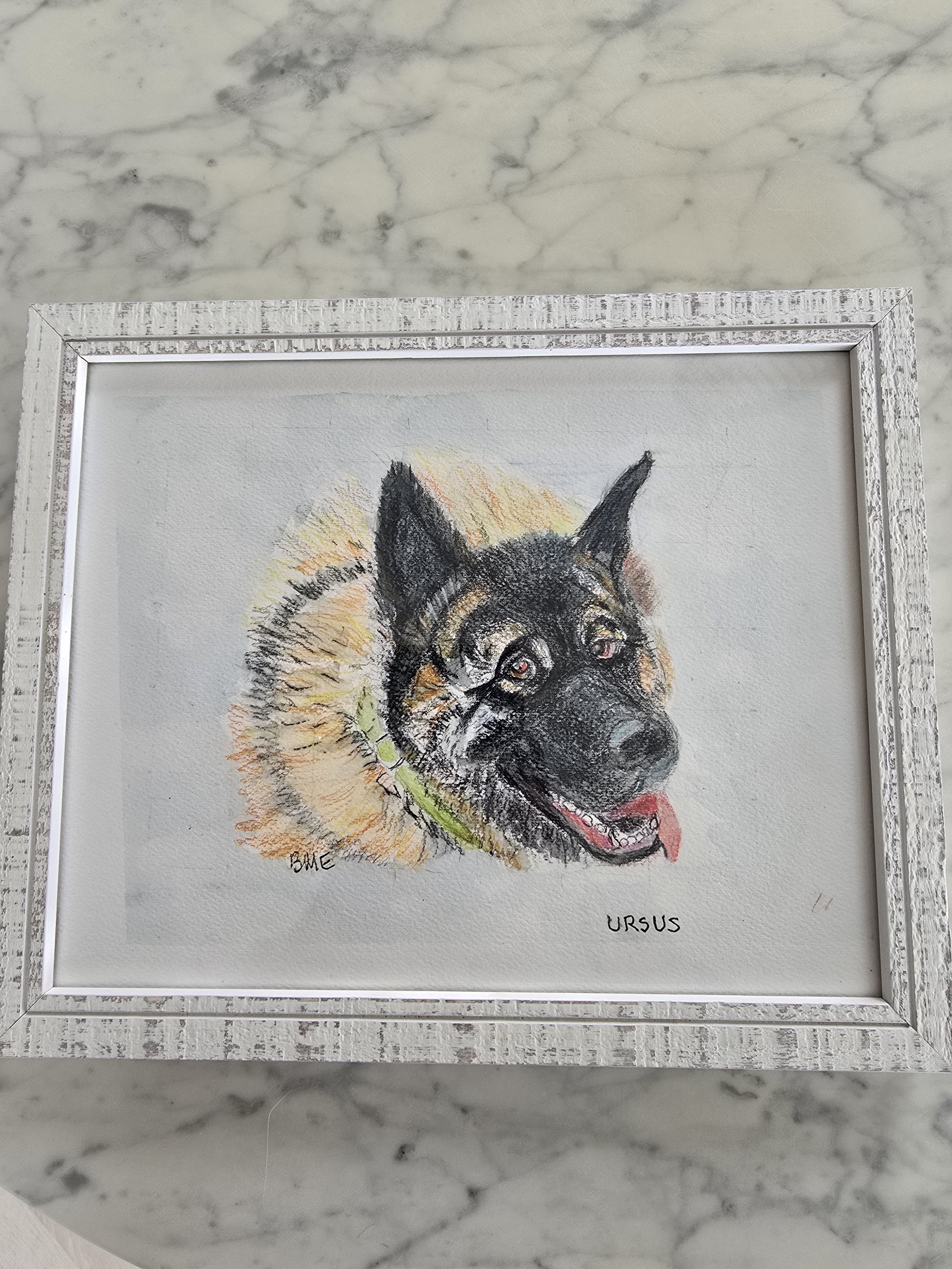 Ursusdrawingbetsy.jpg