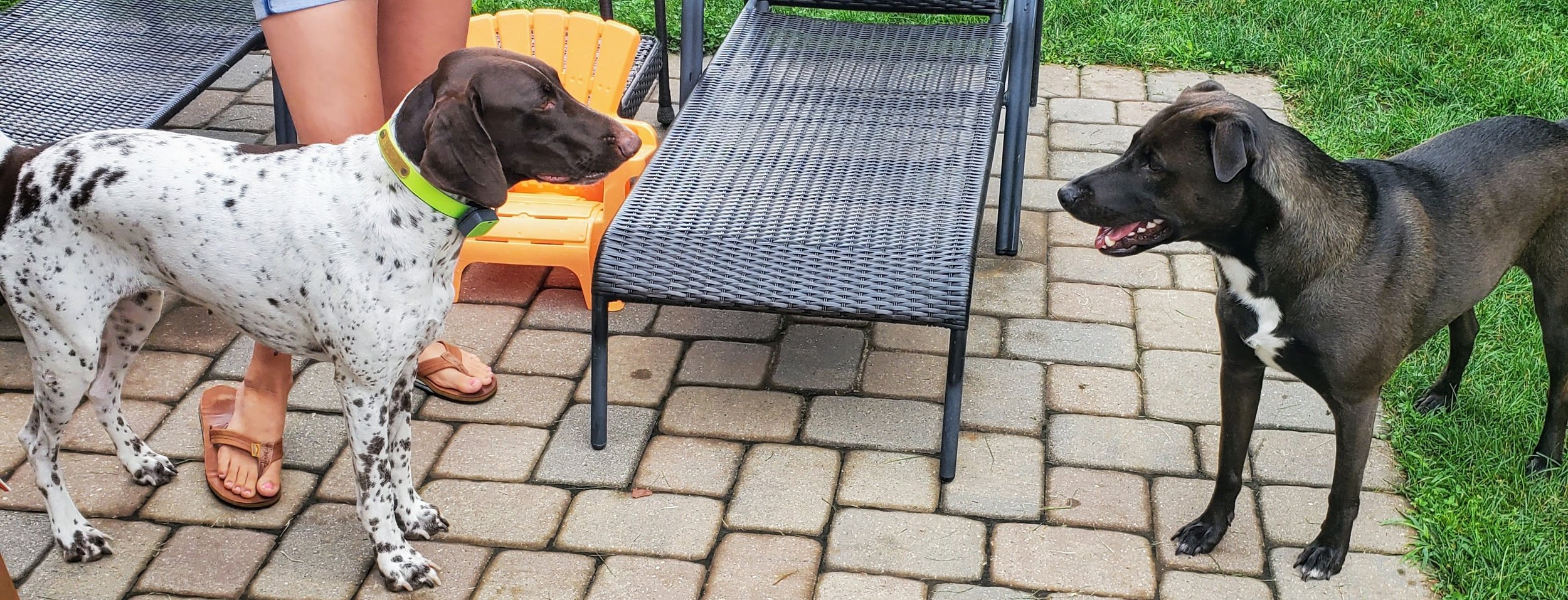 Emma and Max ready to play