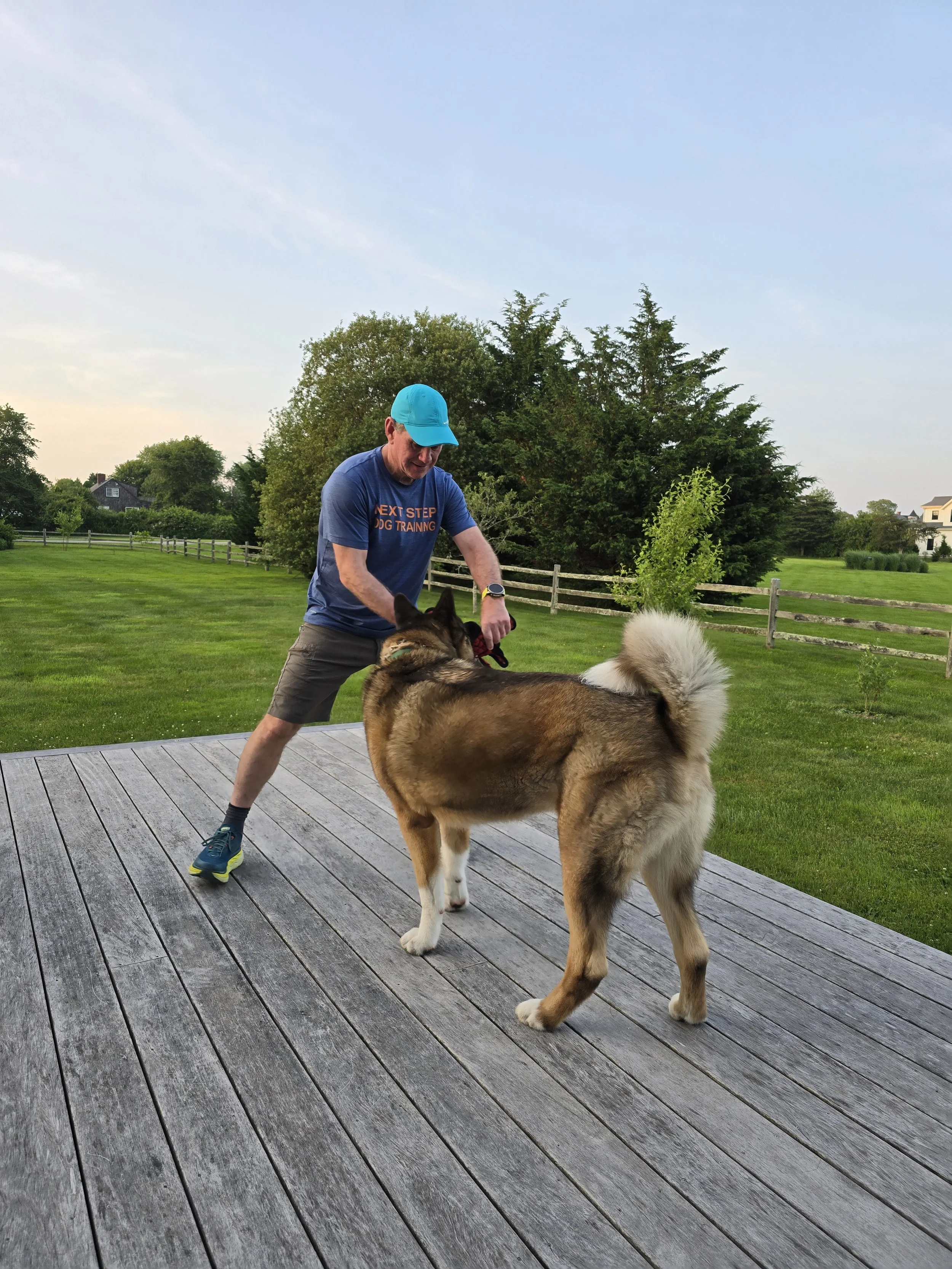 Tug with Ursus, the big boy!