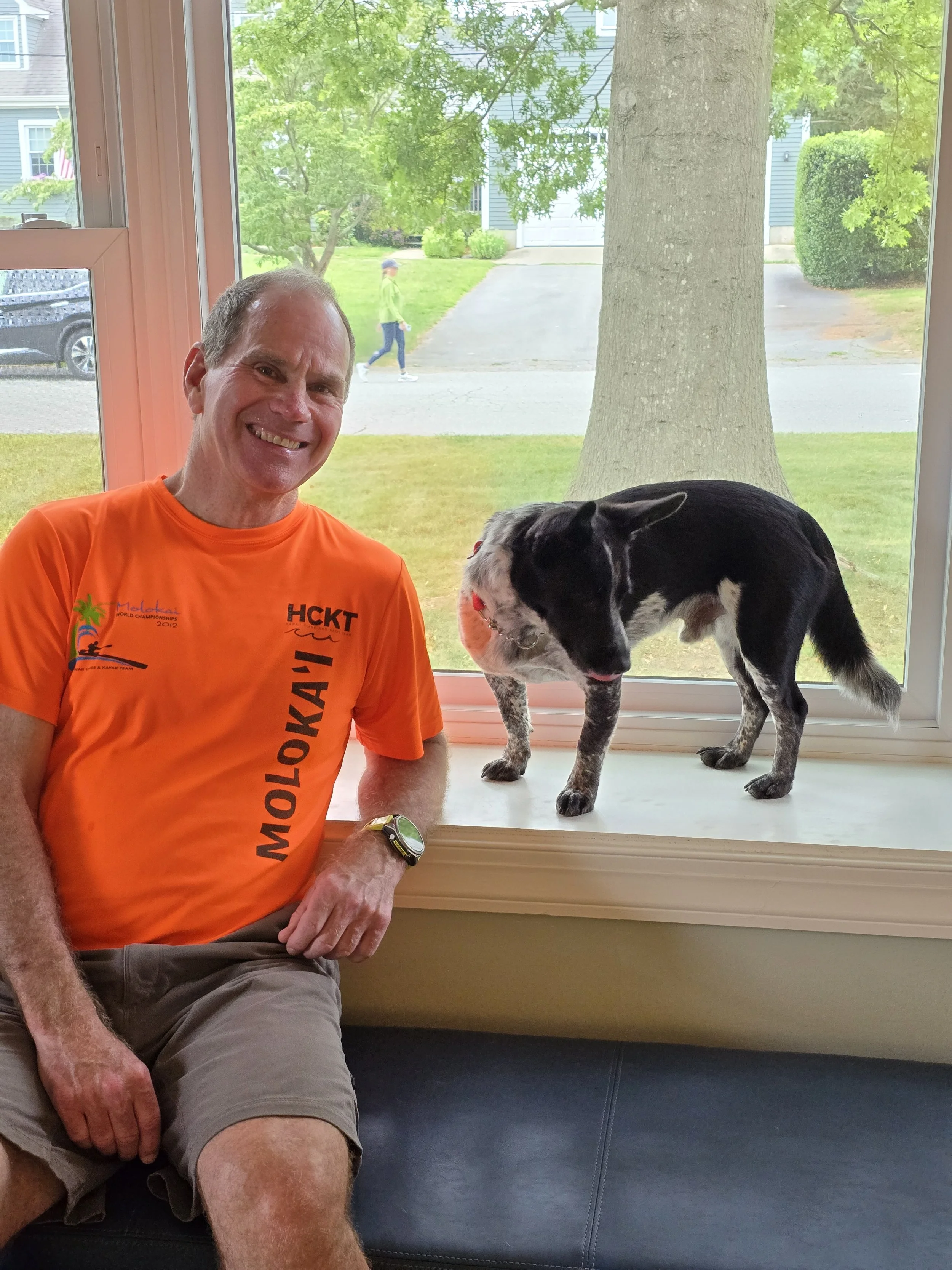 Maverick, my new 1.5 old Rat Terrier and Australian Cattle Dog mix as of August 2025. He keeps us entertained. We are lucky that he and Emma(my GSP) get along great. He came to me as resource guarding his owner, separation anxiety, nipping and havi