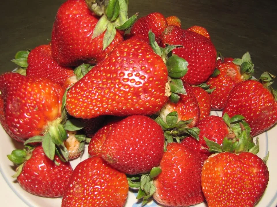 Monroe Strawberry Festival