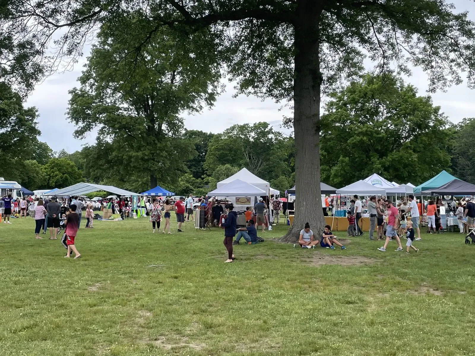 Orange Strawberry Festival