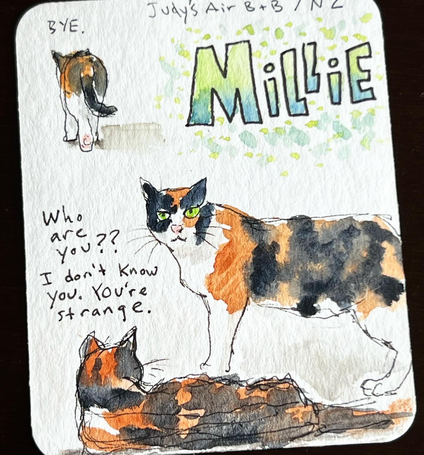 Another sketch from our recent travels. This is Millie the cat from our Air B&amp;B in NZ. Needless to say, she wasn&rsquo;t too impressed by us. #traveljournal #artjournal #watercolorsketch