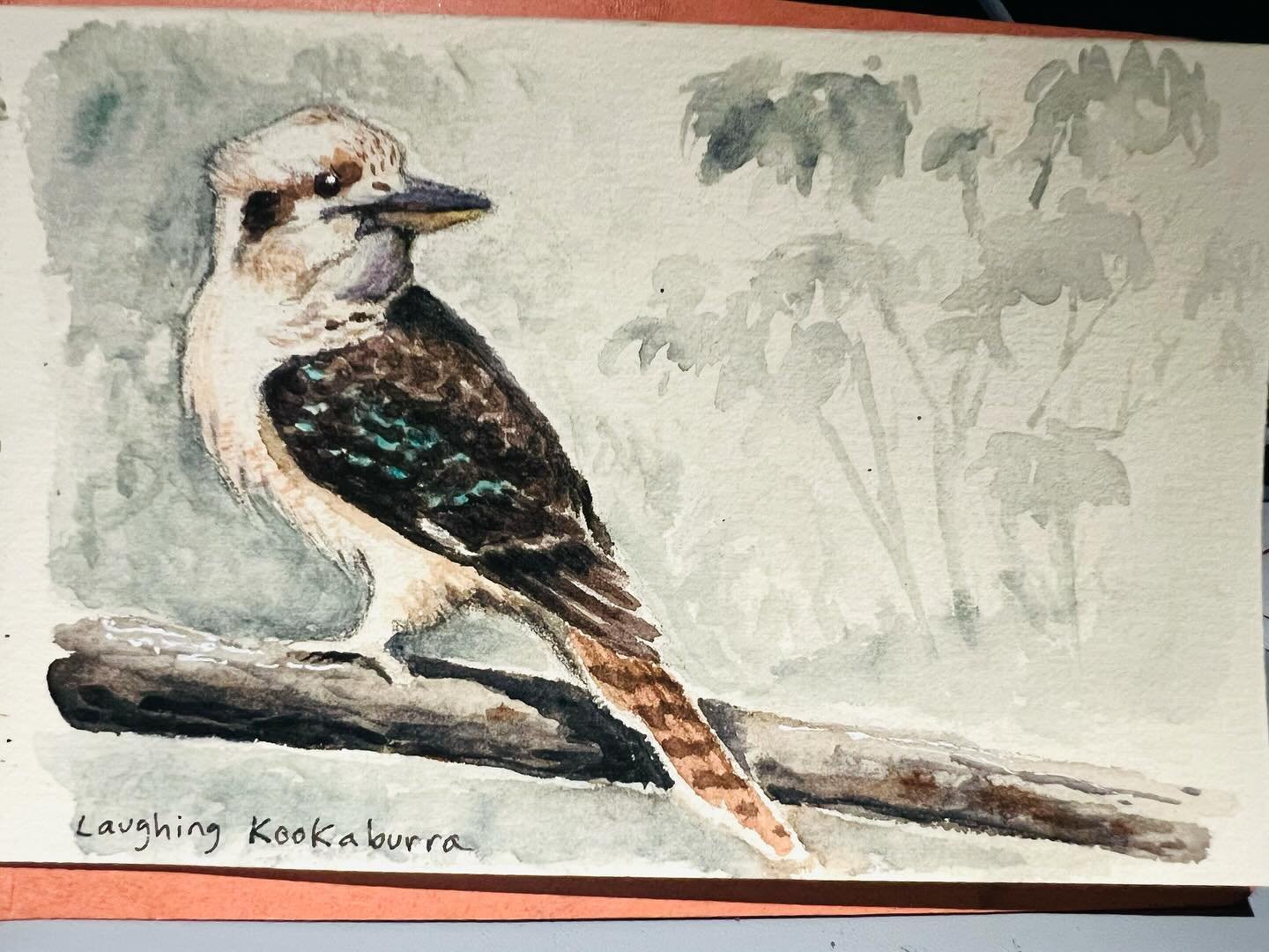 One good thing about long flights is they allow me to catch up on my travel journal paintings! Laughing Kookaburra from our adventures down under #travelsketchbook #watercolorpainting #solongaustraliaimgoingtomissyou