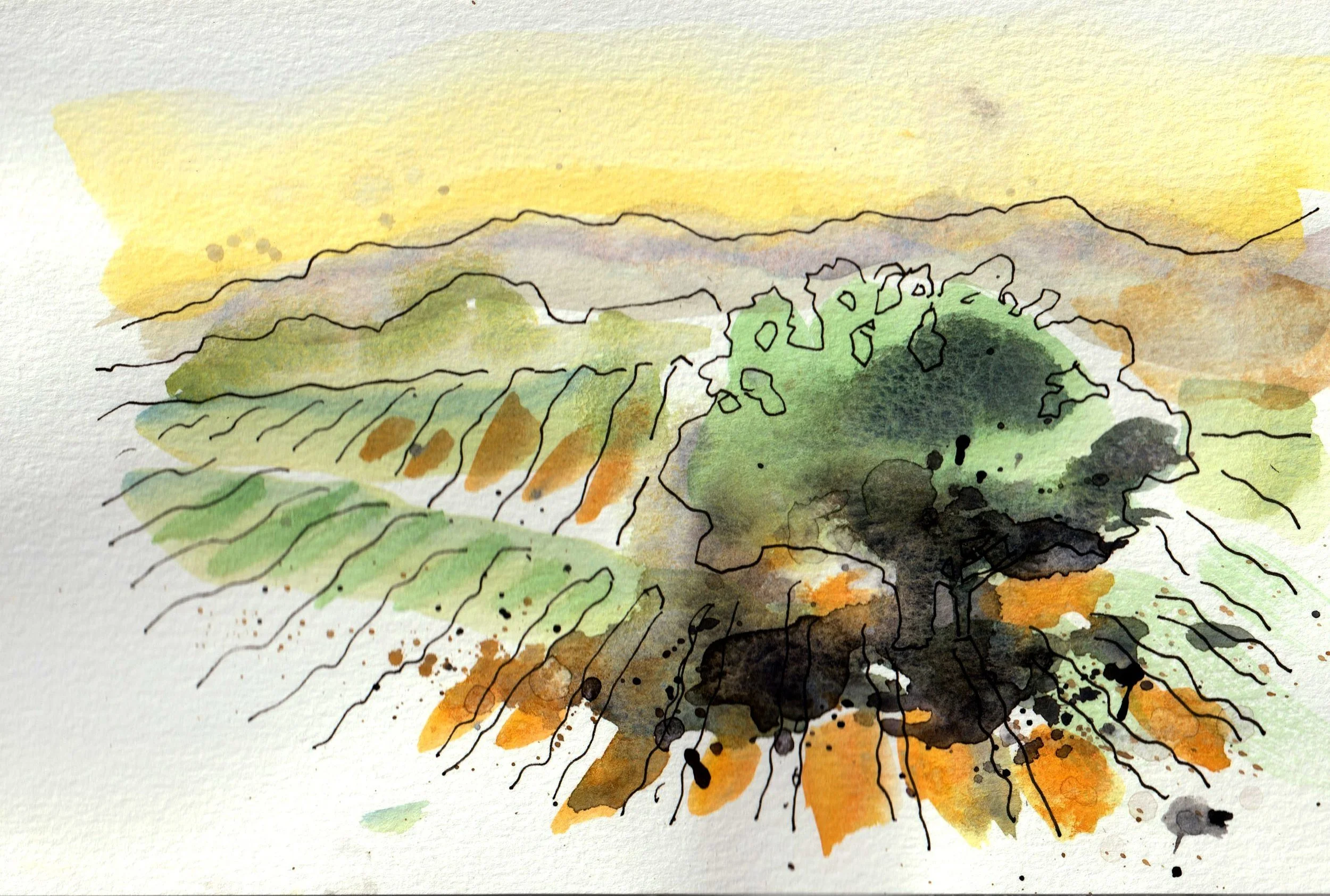 landscape-1.jpg