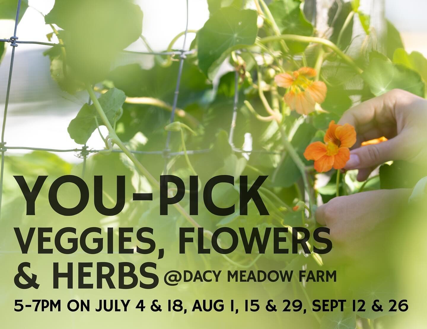 Save the date for 2024 Community You Pick Nights! 

One small change to you-pick nights in the garden this year&hellip; they will be every OTHER week during July, August and September. 
 Make sure you&rsquo;re signed up for email updates on what&rsqu