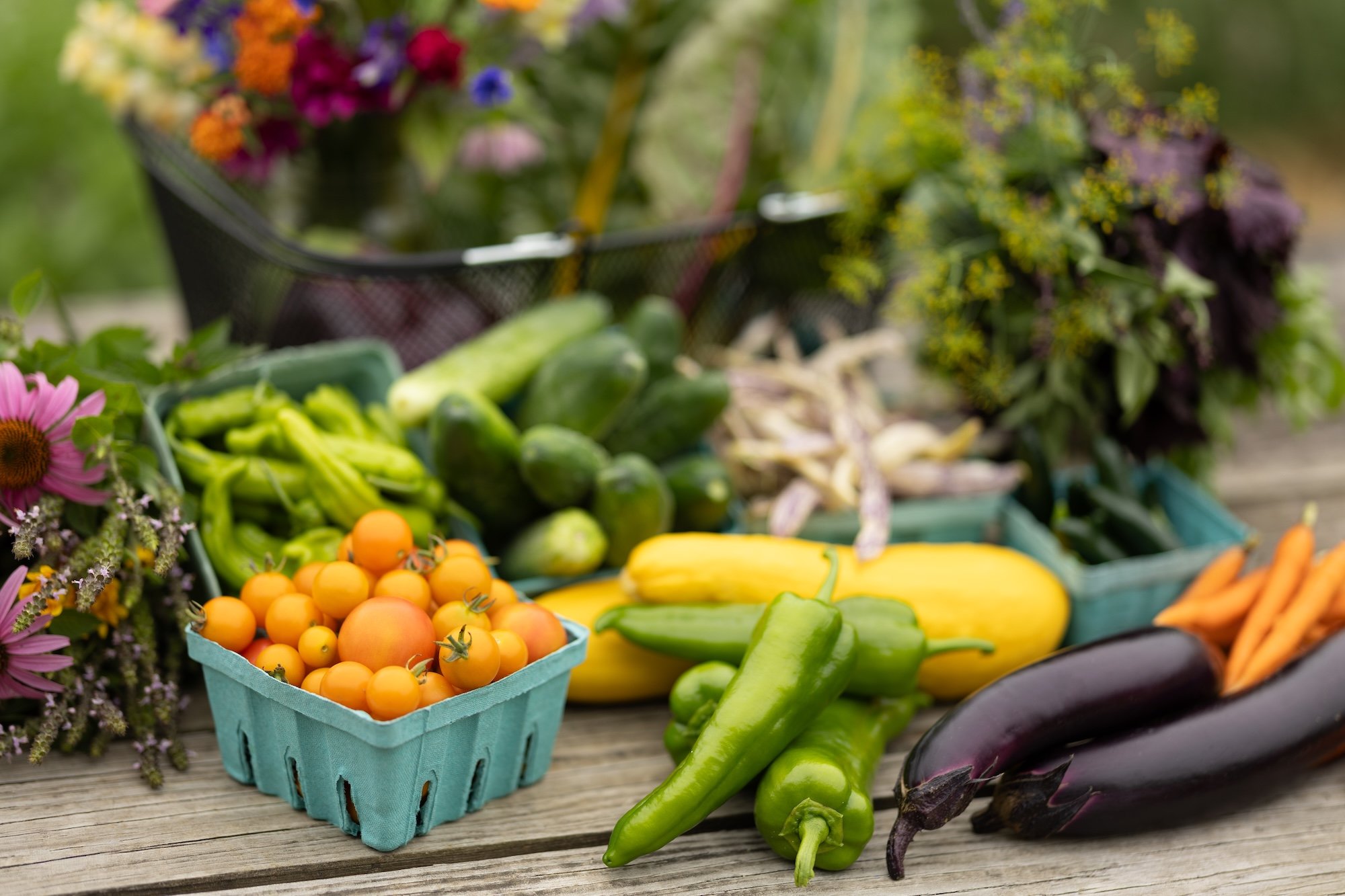 2026 You-Pick Membership Crop Plan