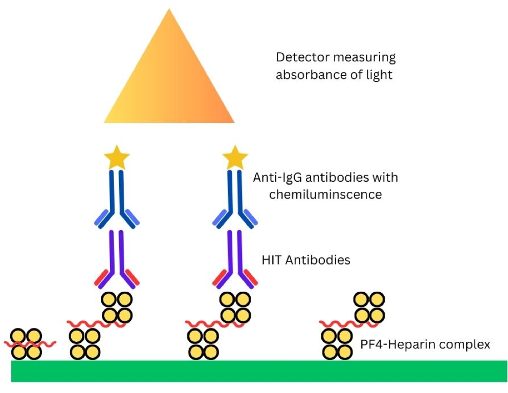 Episode 071: Heme Consults Series: Heparin-induced thrombocytopenia (A ...