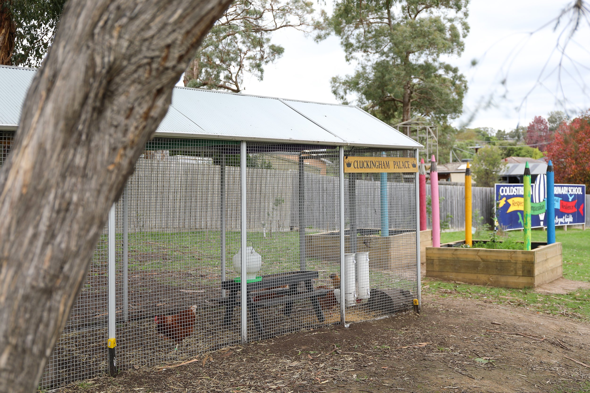 CPS School Grounds 2026 (9).jpg