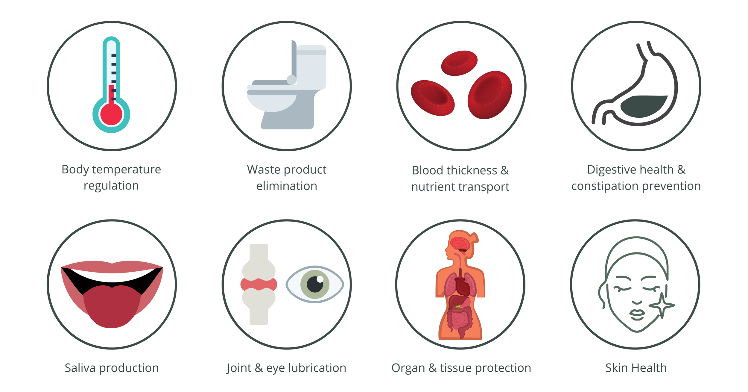 Hydration and Body Fluids: The Simple Secret to Feeling Your Best