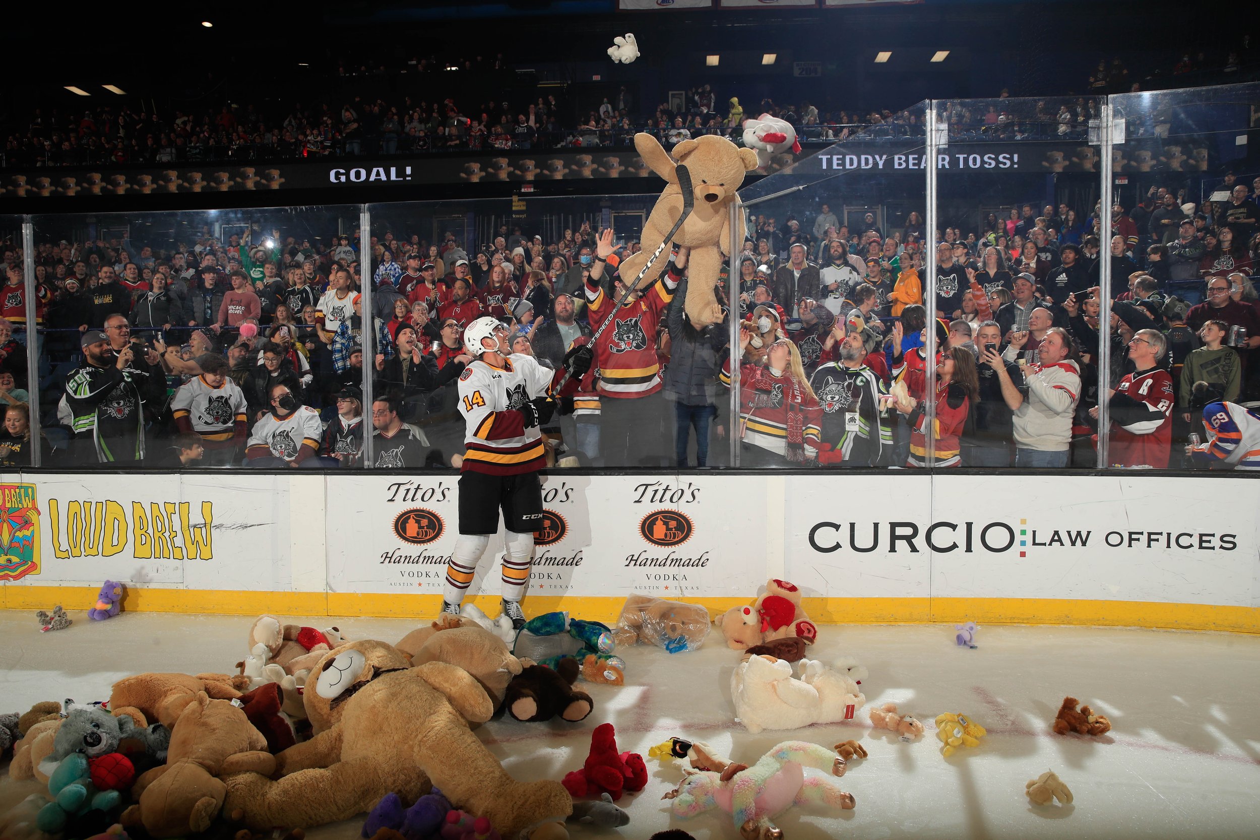 TeddyBearToss-7.jpg