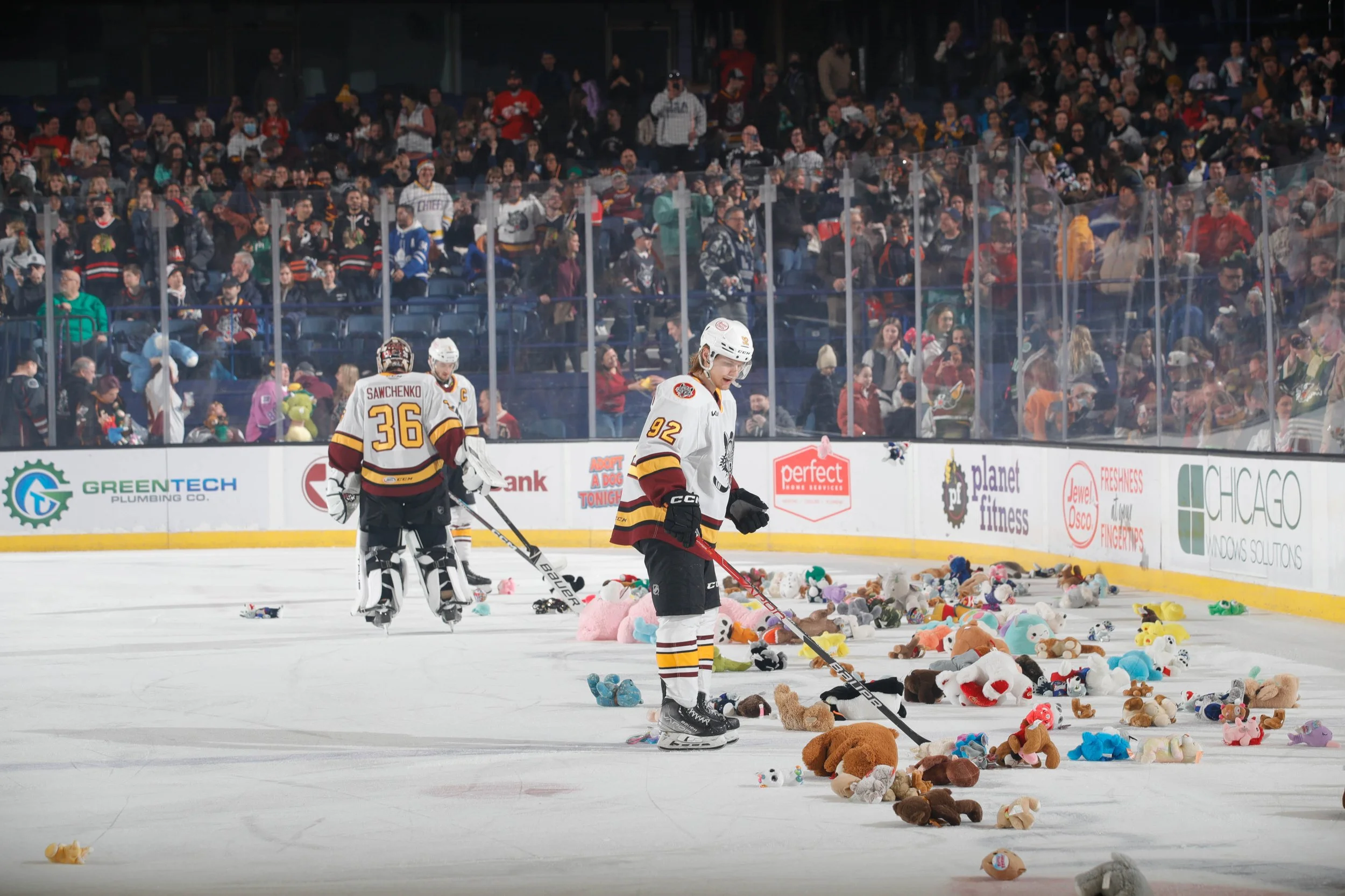 TeddyBearToss-4.jpg