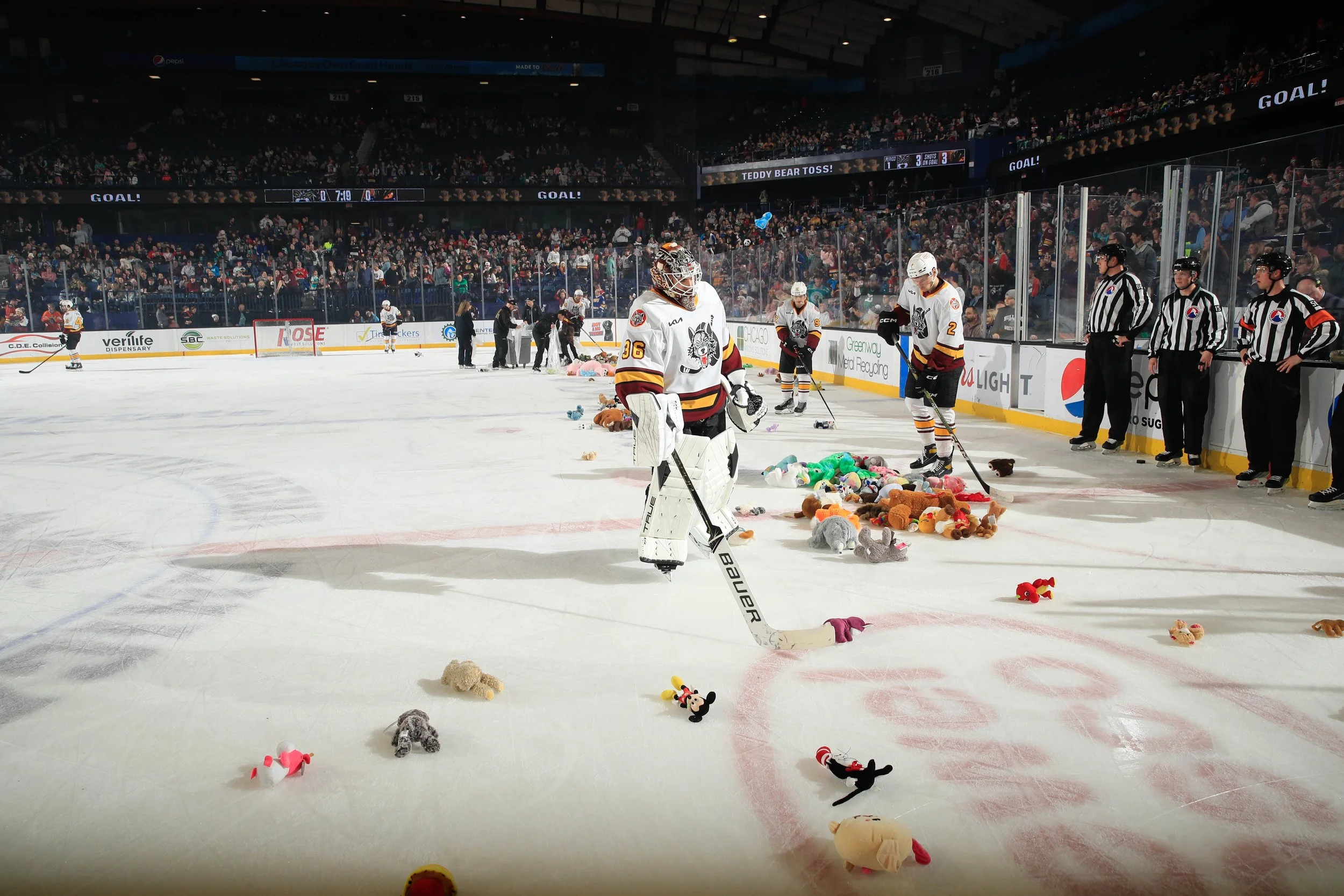 TeddyBearToss-6.jpg