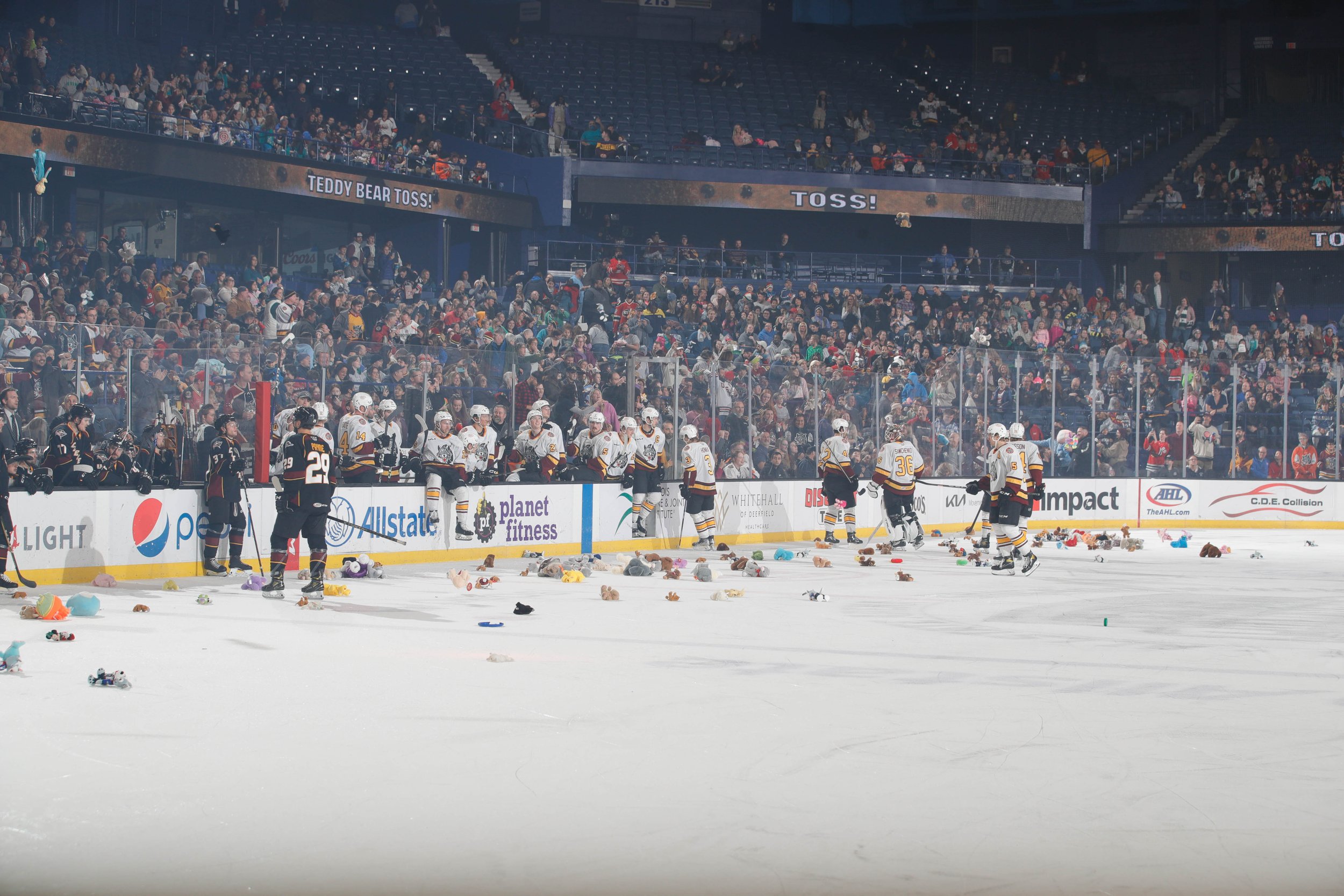 TeddyBearToss-3.jpg