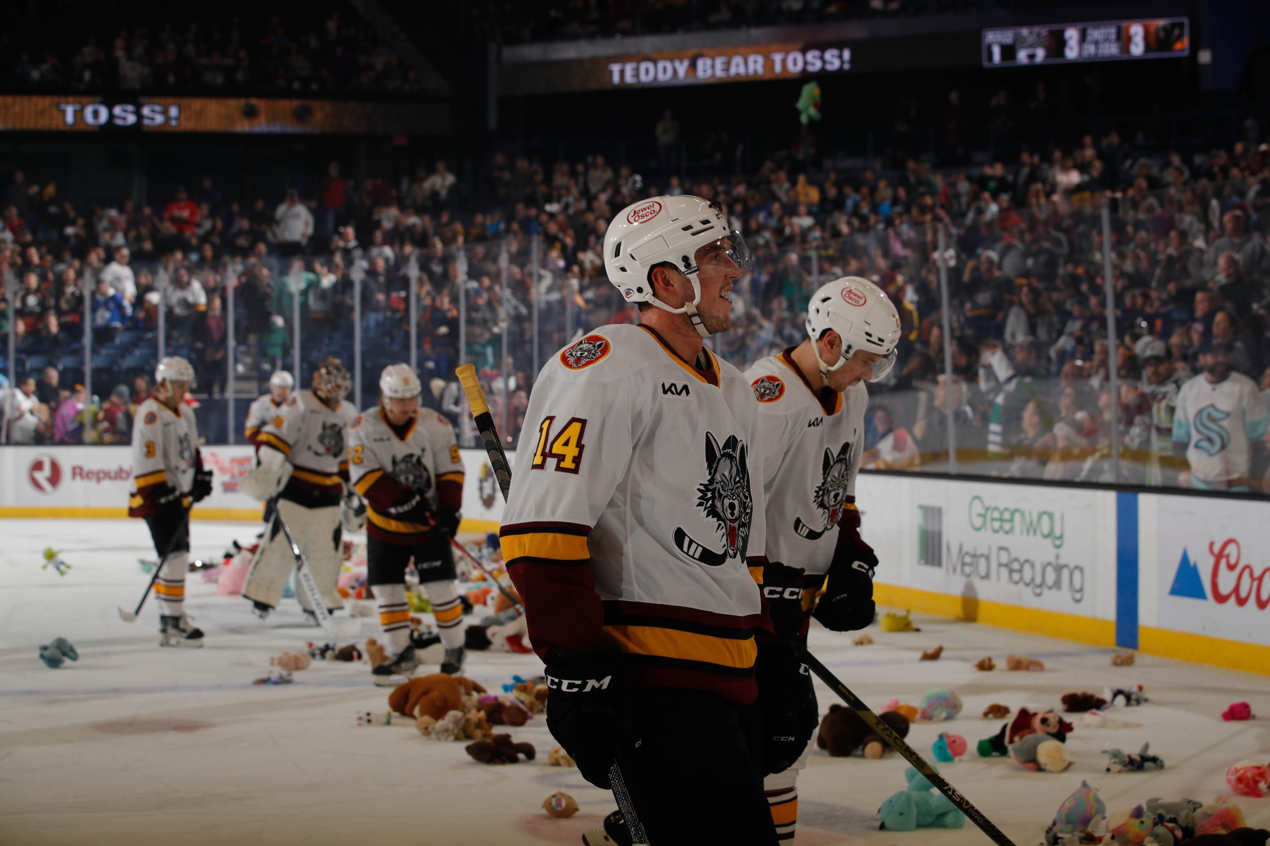 TeddyBearToss-5.jpg
