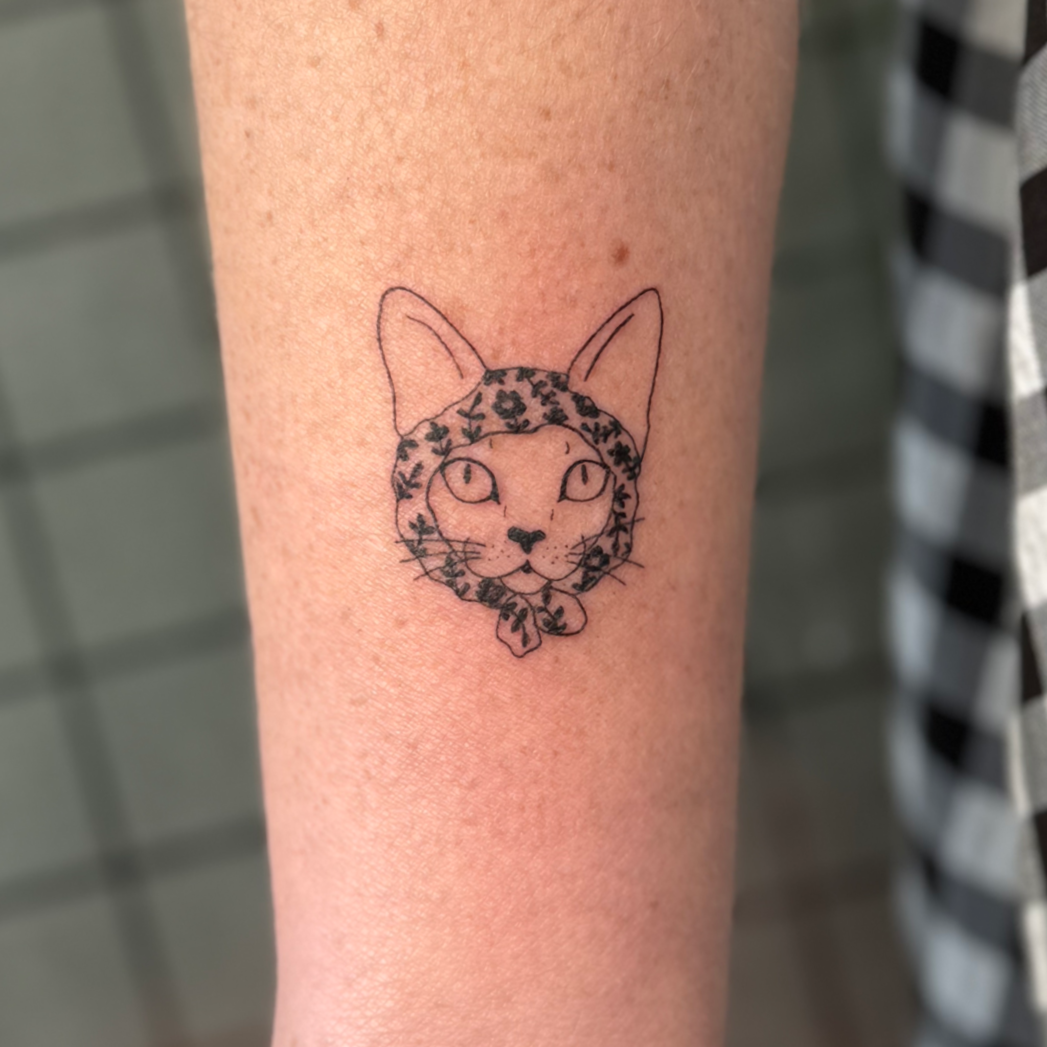 Untitled_Artwork 268.png