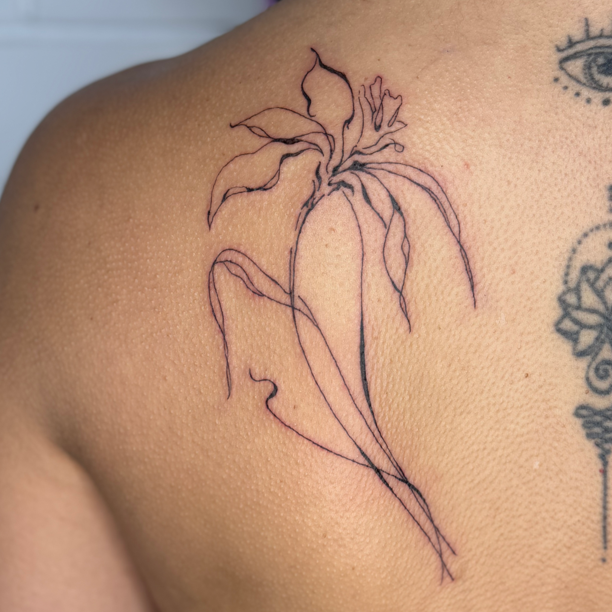 Untitled_Artwork 298.png