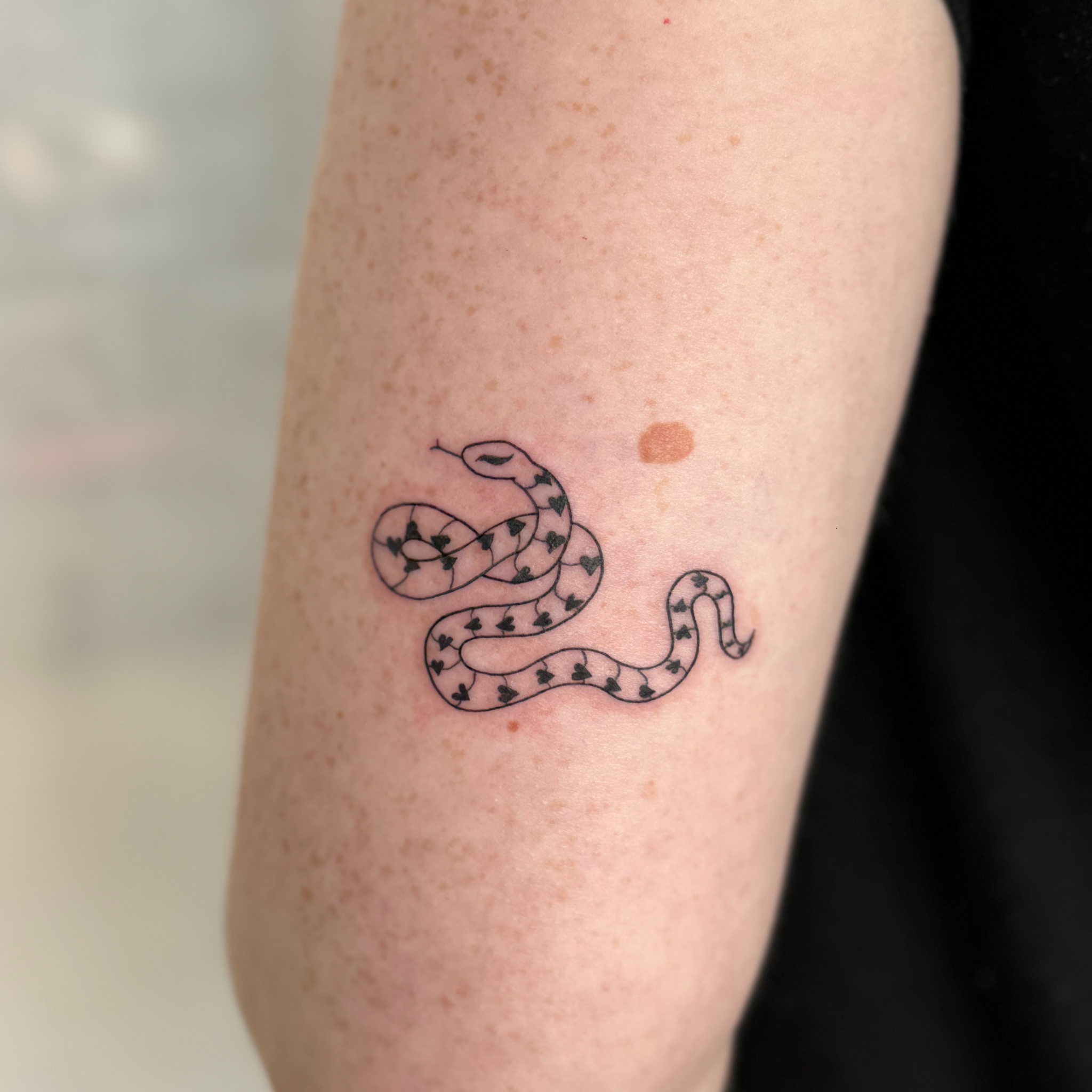 Untitled_Artwork 282.png