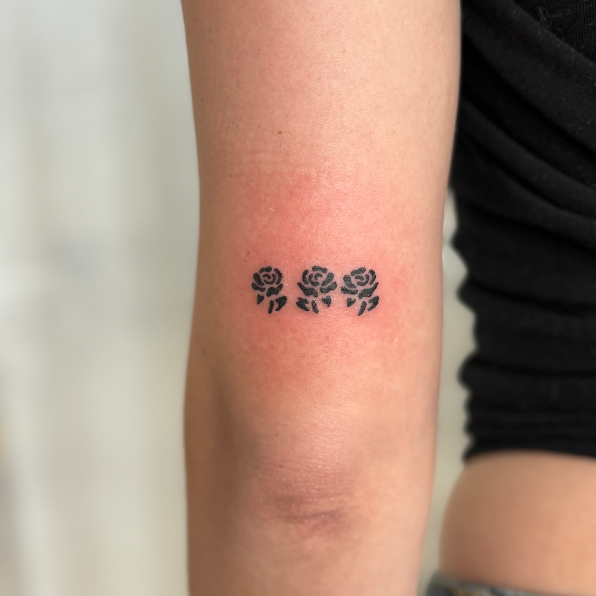 Untitled_Artwork 300.png