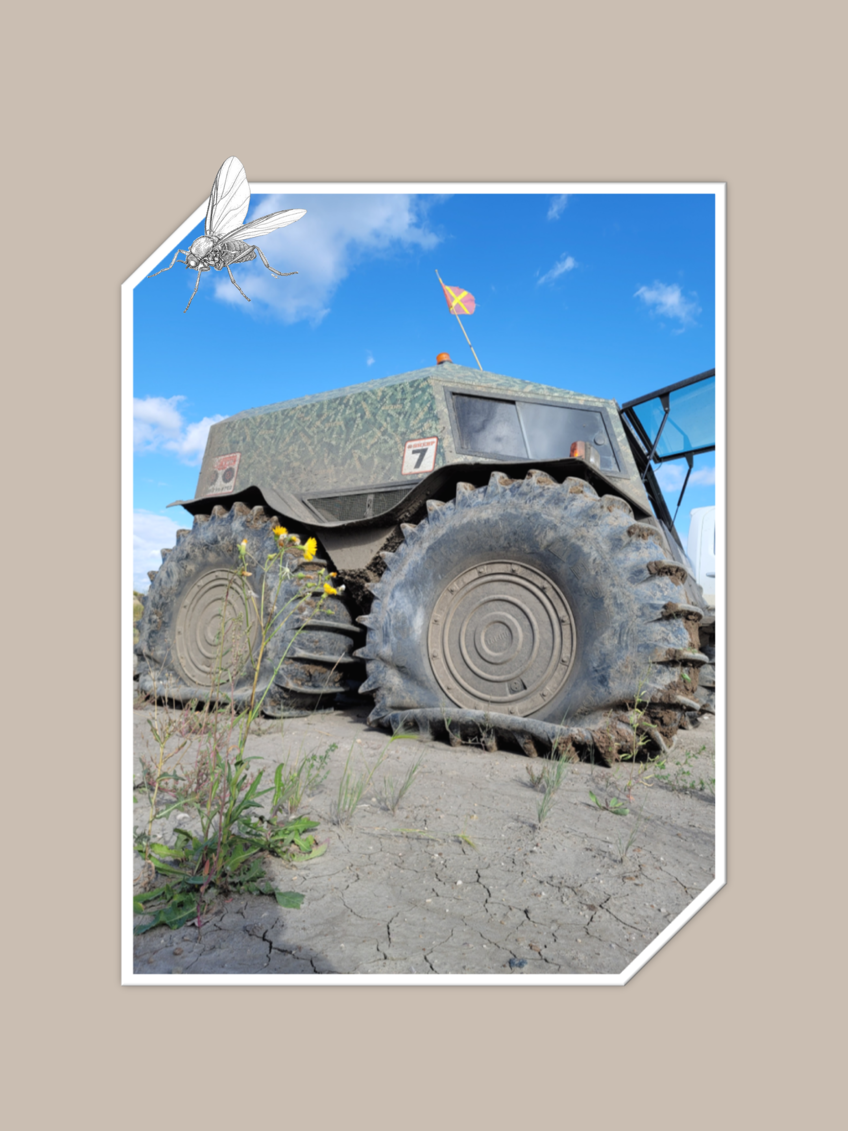 QUICK, GET IN THE SHERP