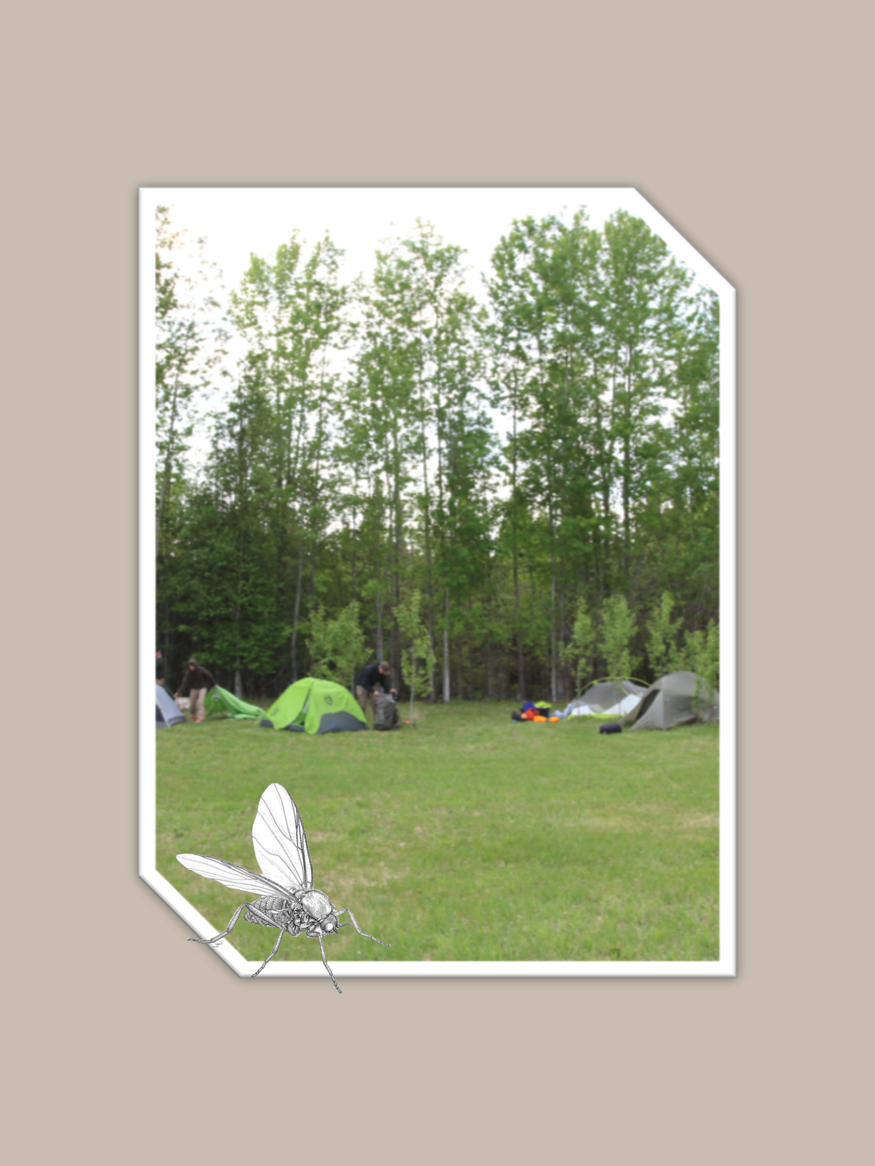 BOOTCAMP 2023- IT’S IN-TENTS