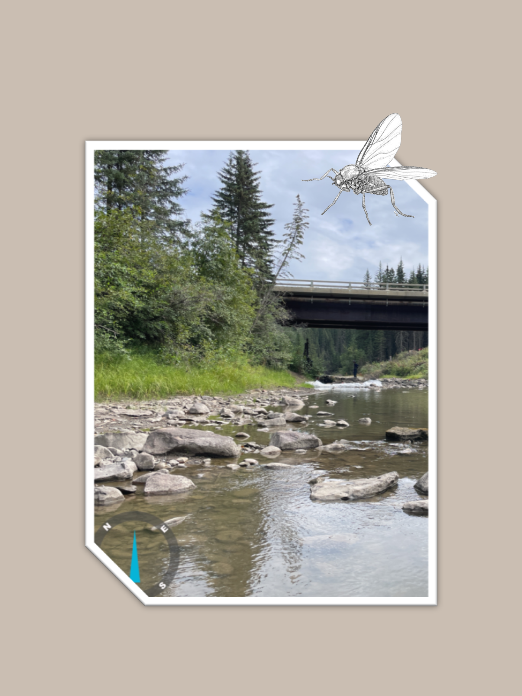 SPILLS HAVE GOT NOTHIN’ ON US