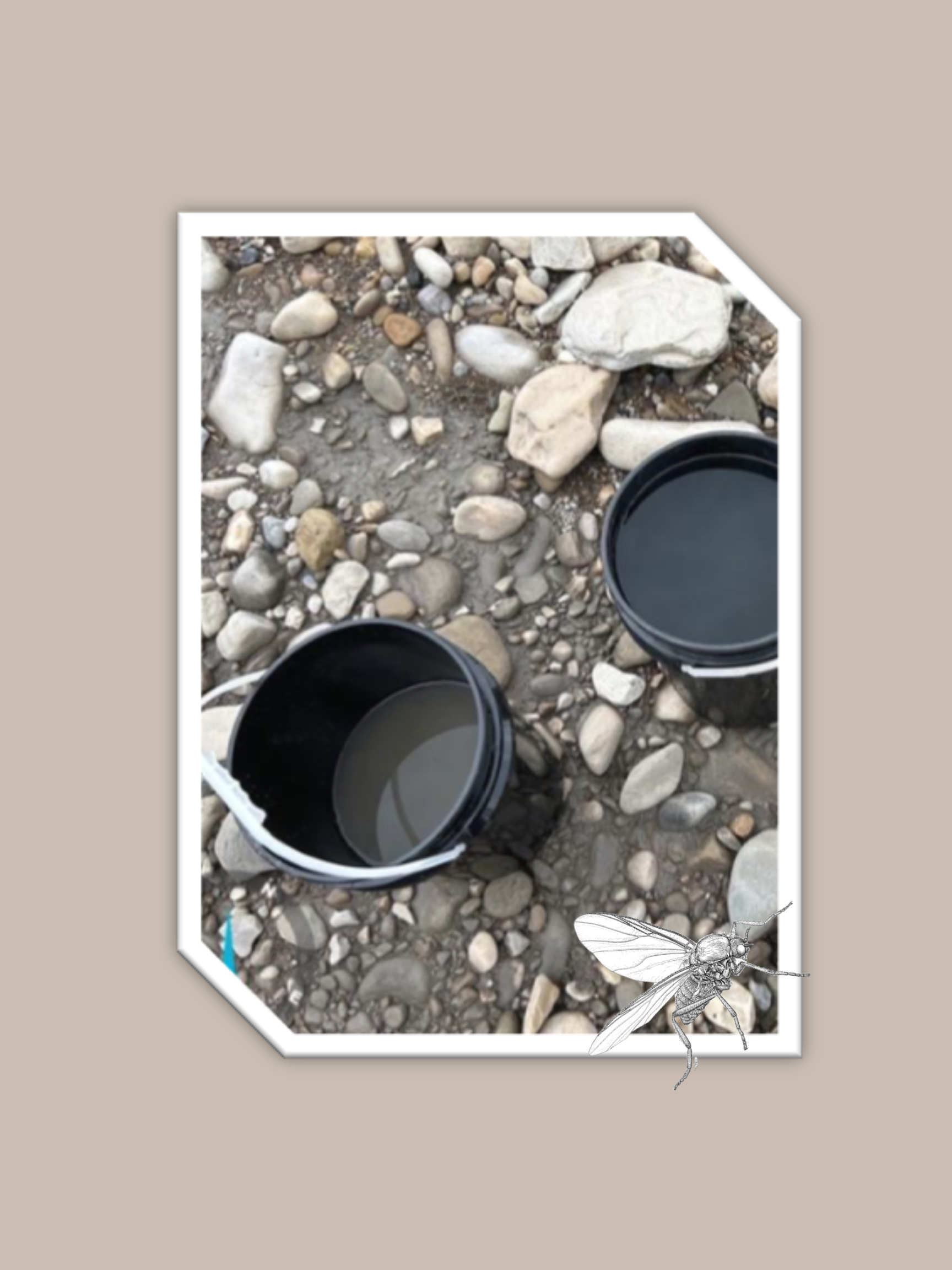 LET’S KEEP THE DIRT OUTTA THE WATER