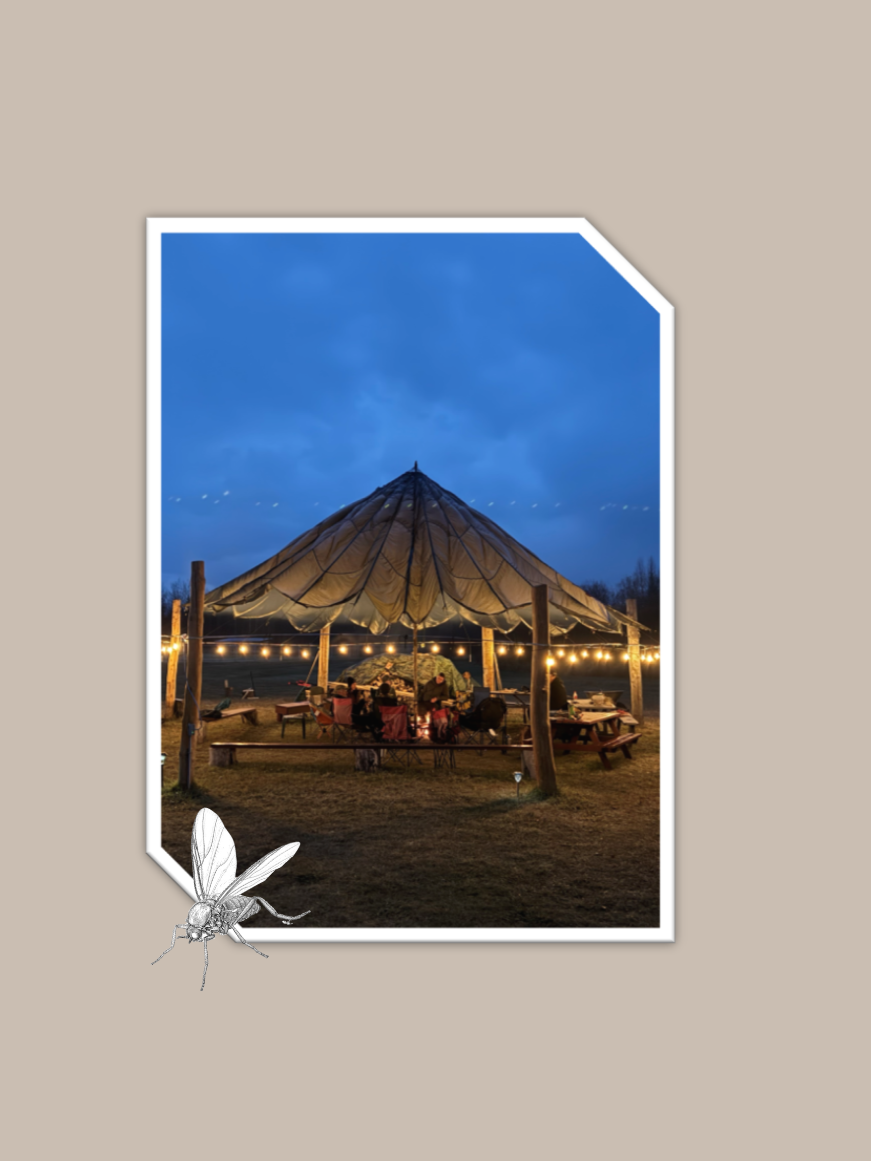 WELCOME 2025 - WE PUT OUR PEOPLE FIRST!