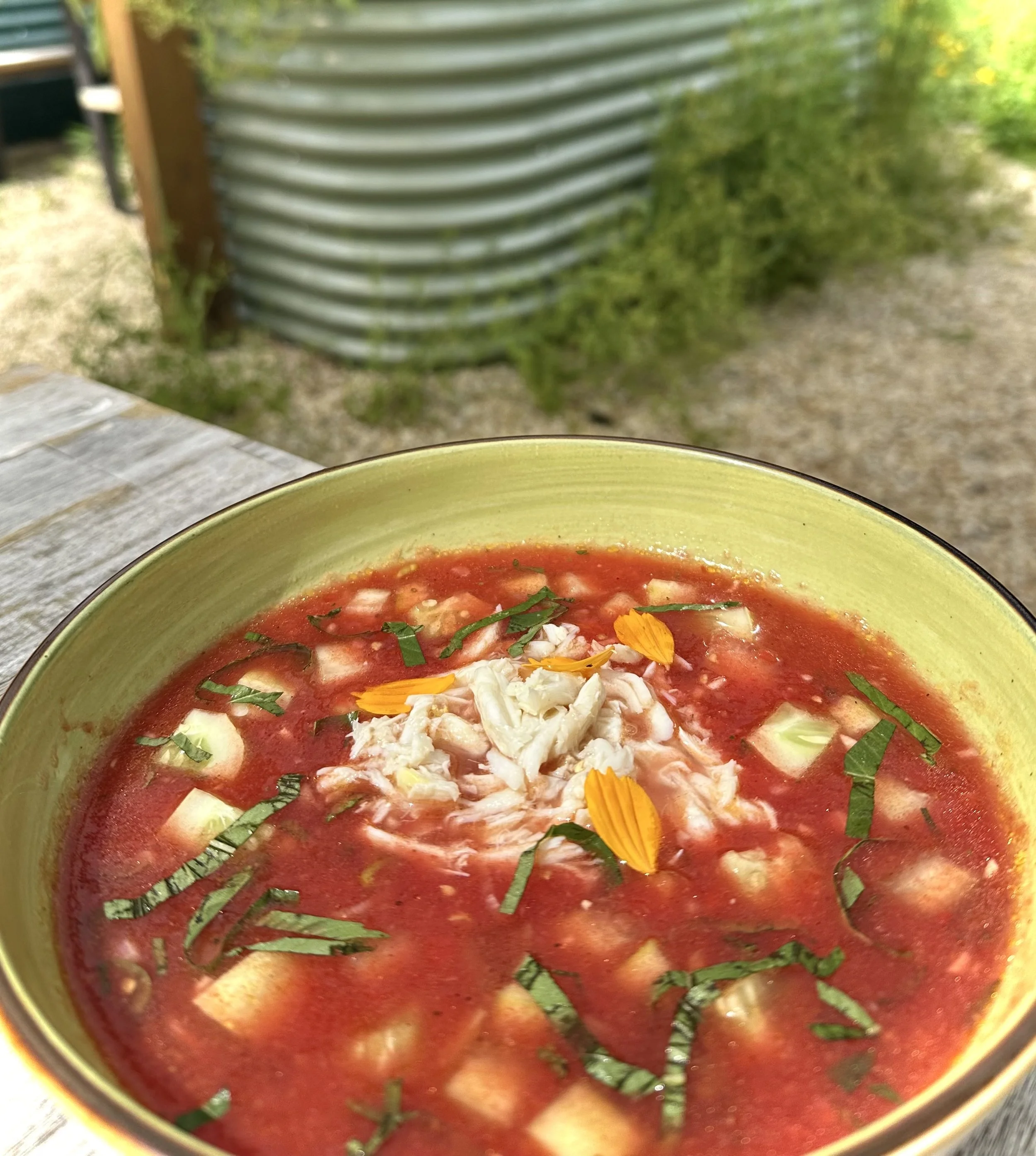 Photo Jul 10 2025, 3 42 21 PM.jpg