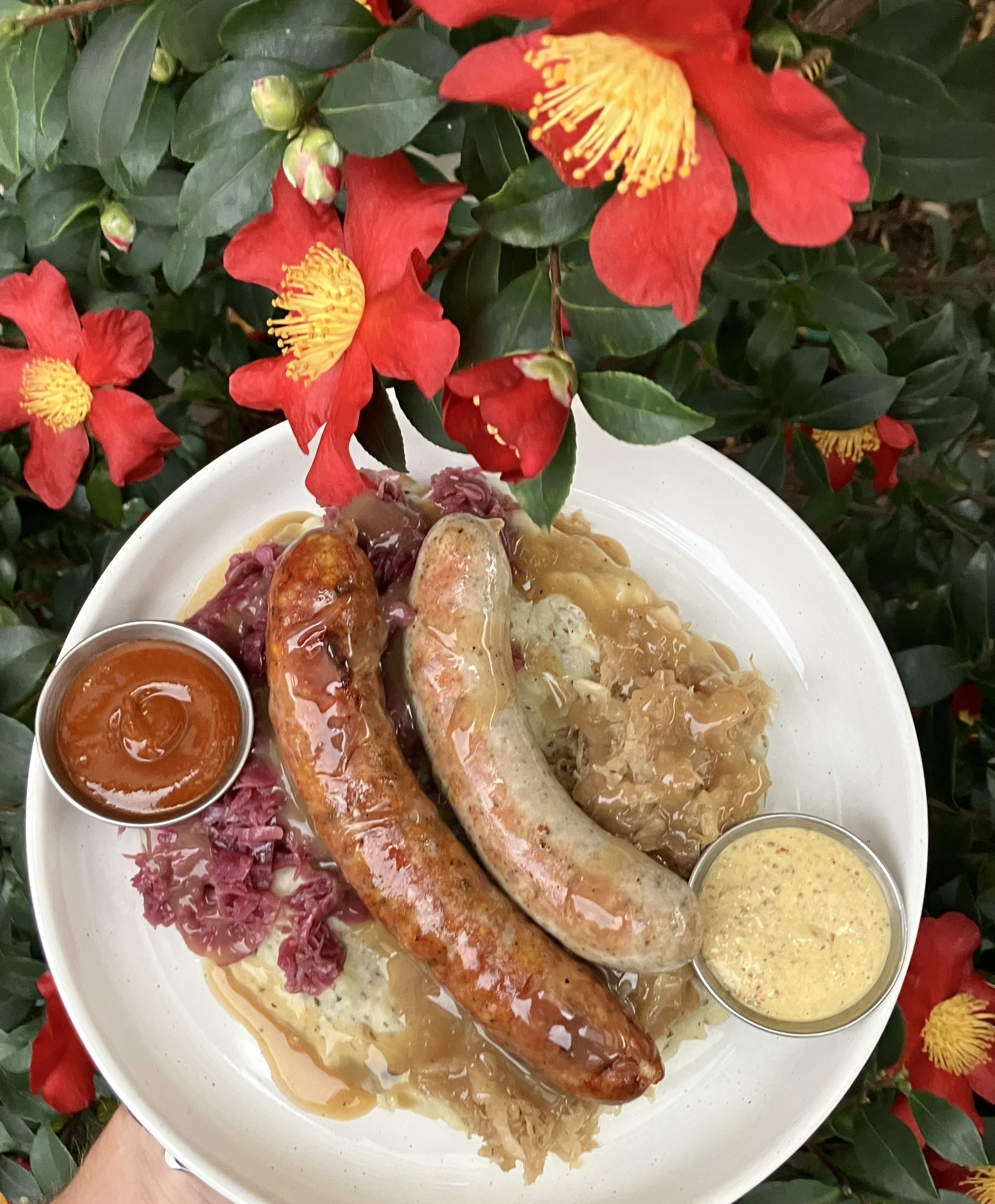 Photo Nov 25 2025, 3 58 29 PM.jpg