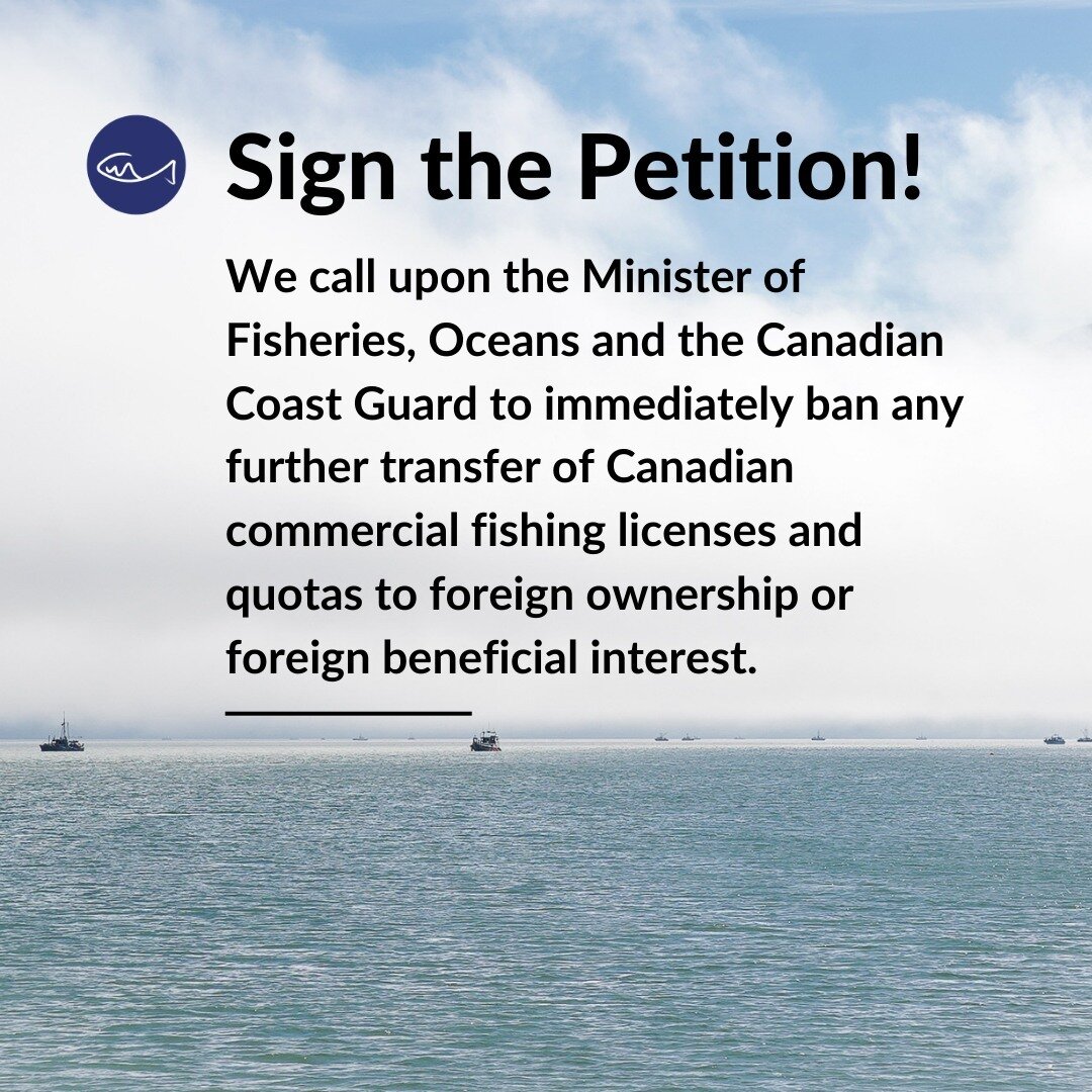 Harvester livelihoods, local food systems, and sustainable coastal economies need to be prioritized. Now is the time to push for federal policy changes that phase out foreign ownership of fishing licences and quota. The Government of Canada and the M