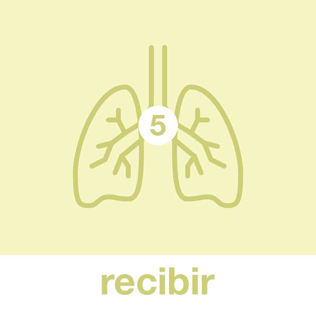 recibir.jpg