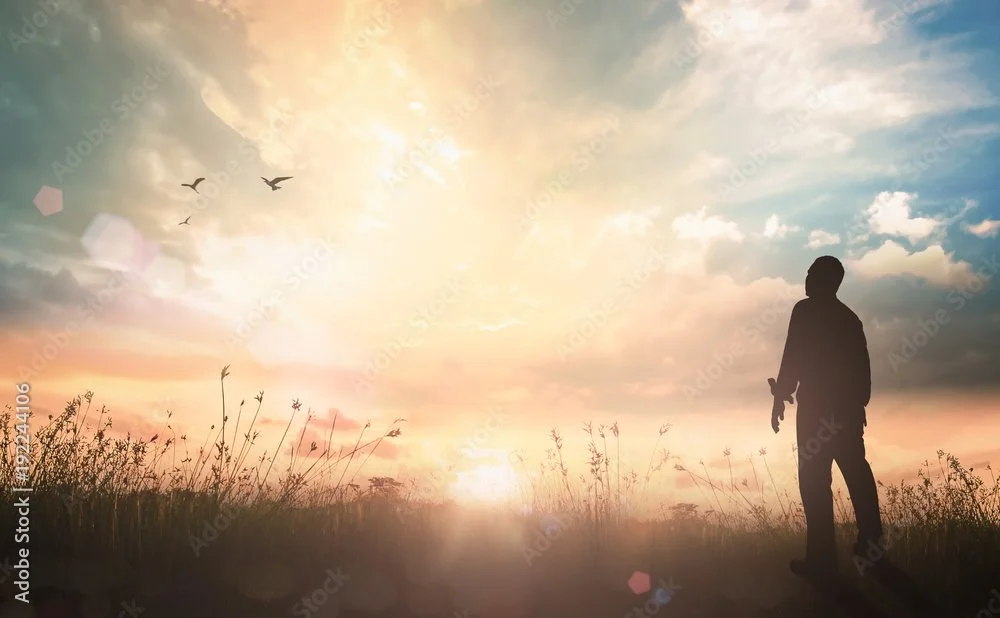 Silhouette of a person walking on grass during sunset with birds flying in the sky.