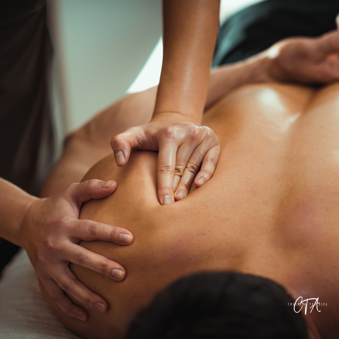 Copy of VTCT LEVEL 4 CERTIFICATE IN Skin Blemish.png