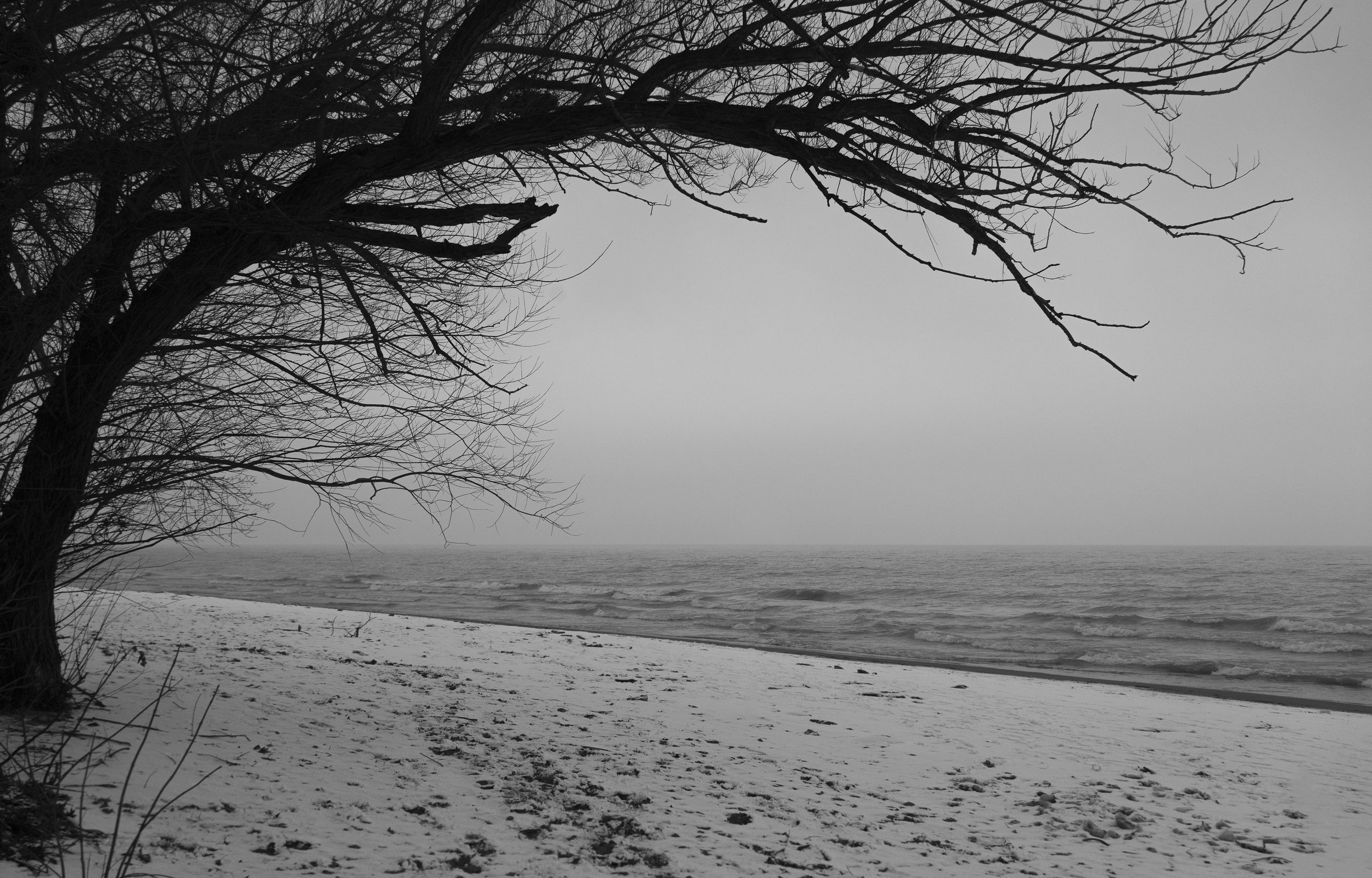 Winter_08704.jpg