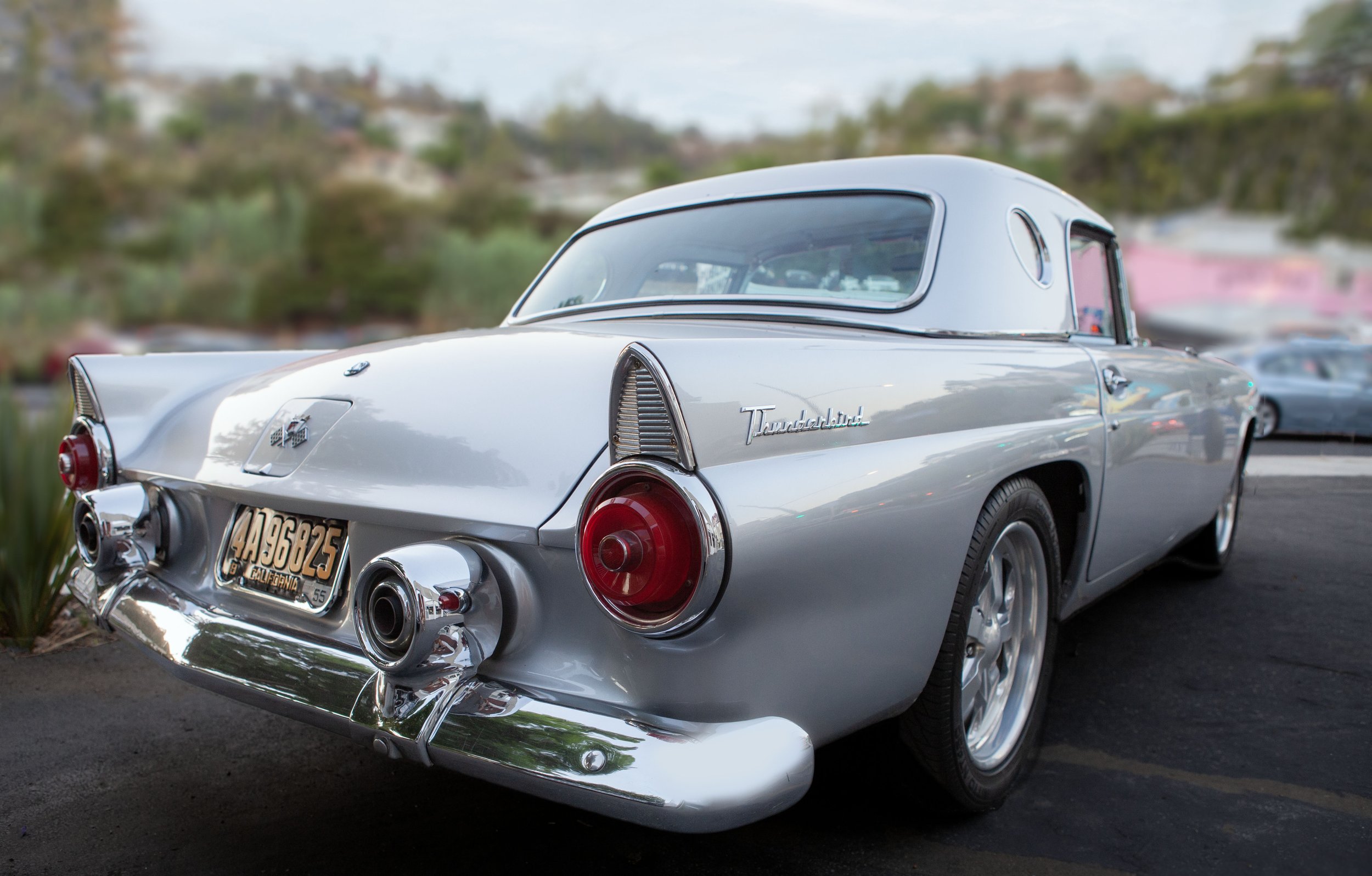 Thunderbird_8043_cm01.jpg