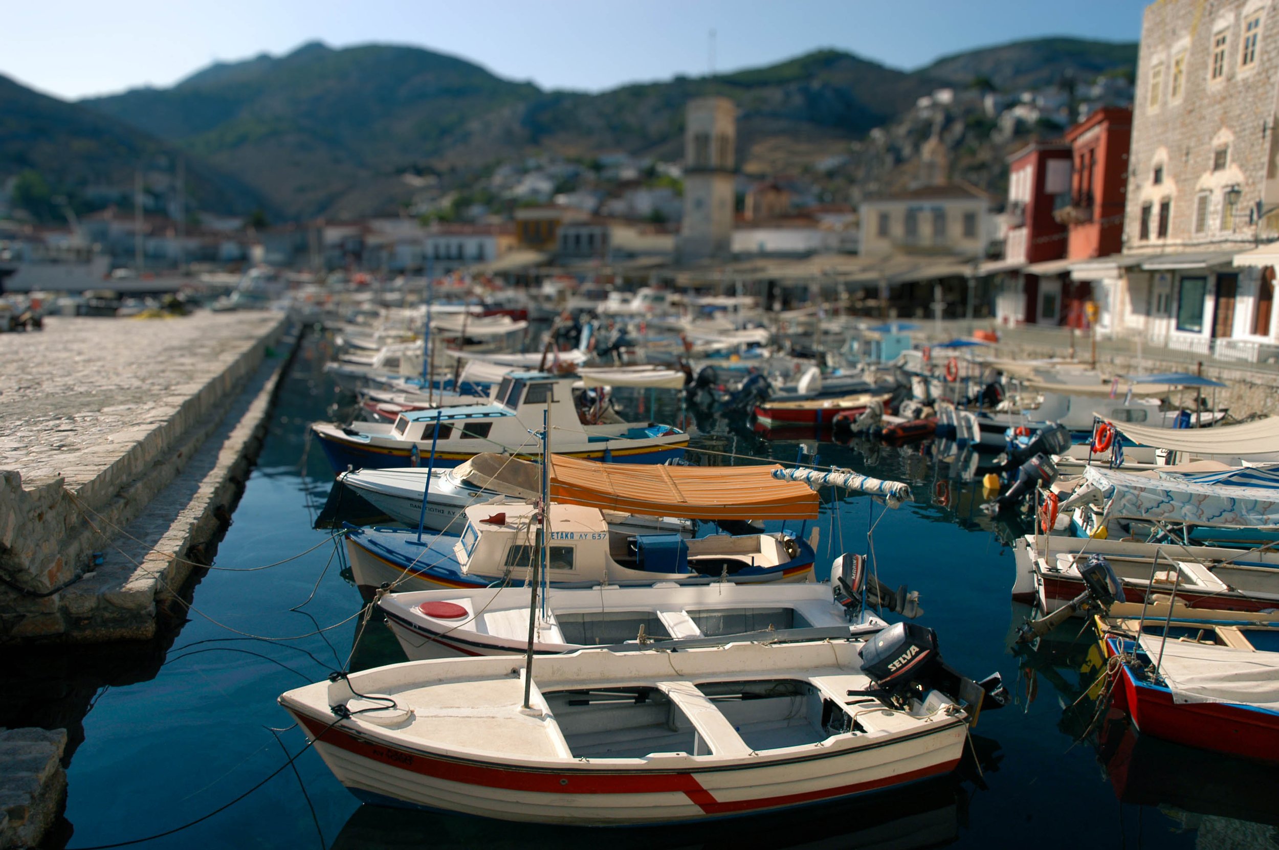 HarborDSC_0357_cm1.jpg