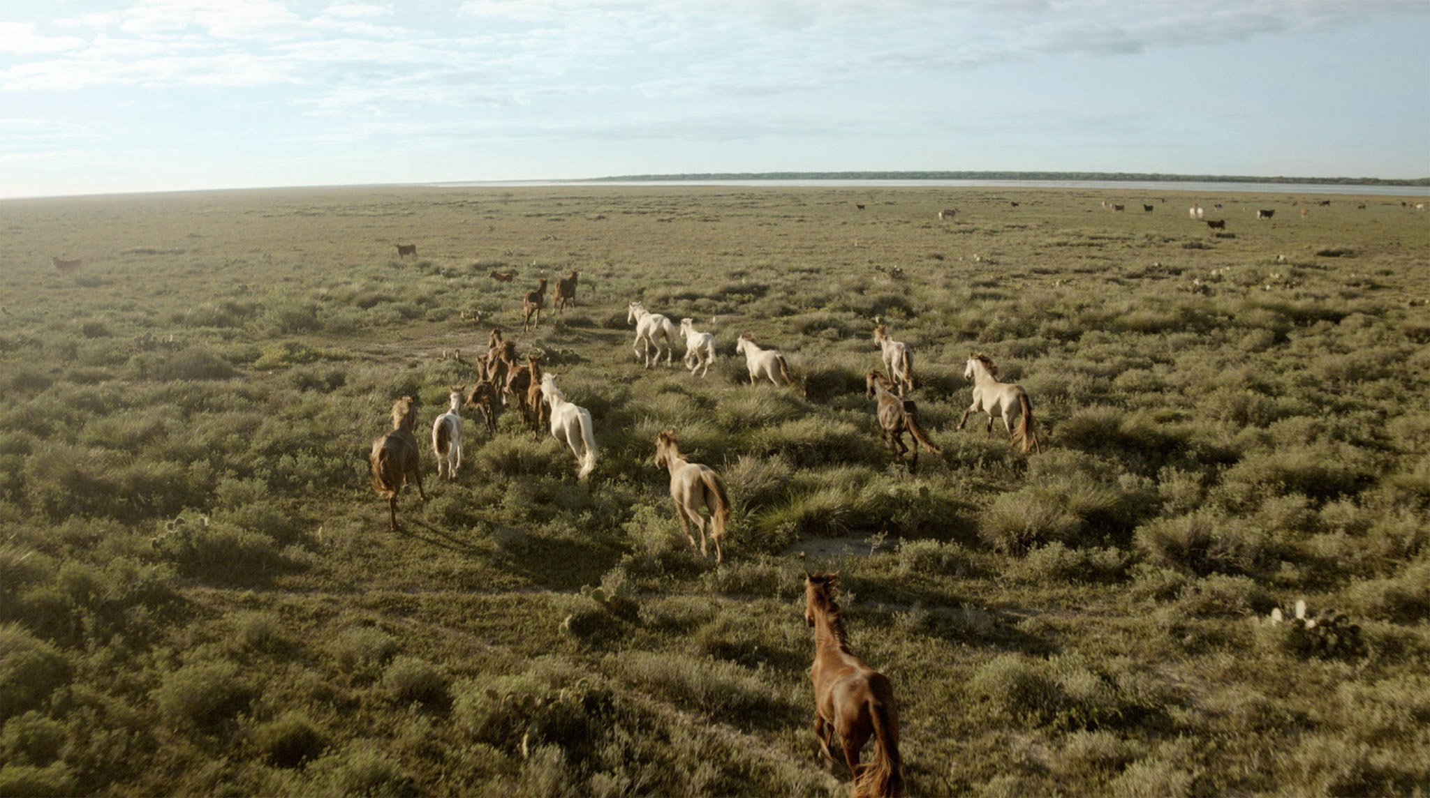 33_TexasHorses3_2k_COVER.jpg